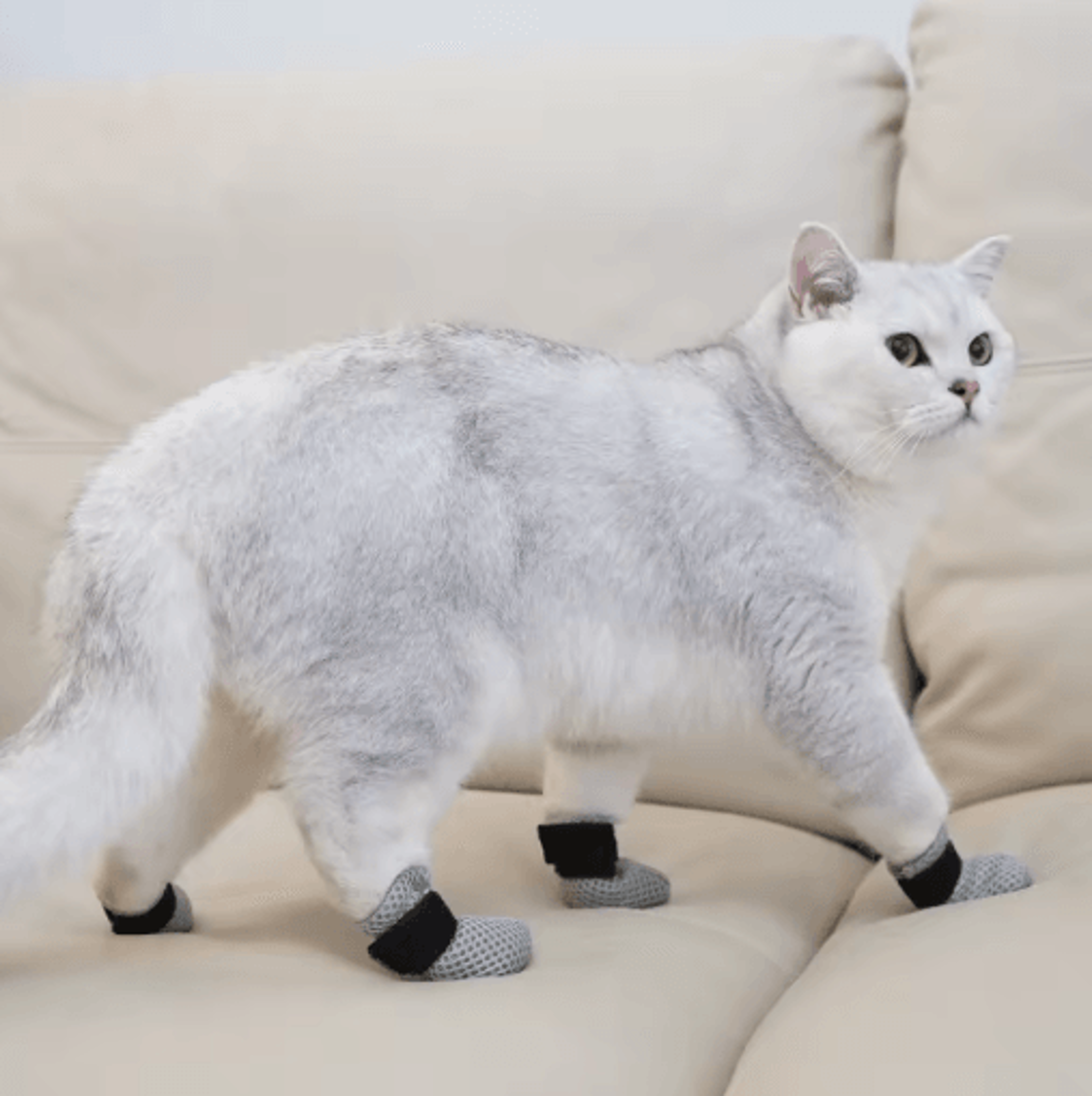 anti-scratch cat socks soft breathable pet booties with secure velcro straps