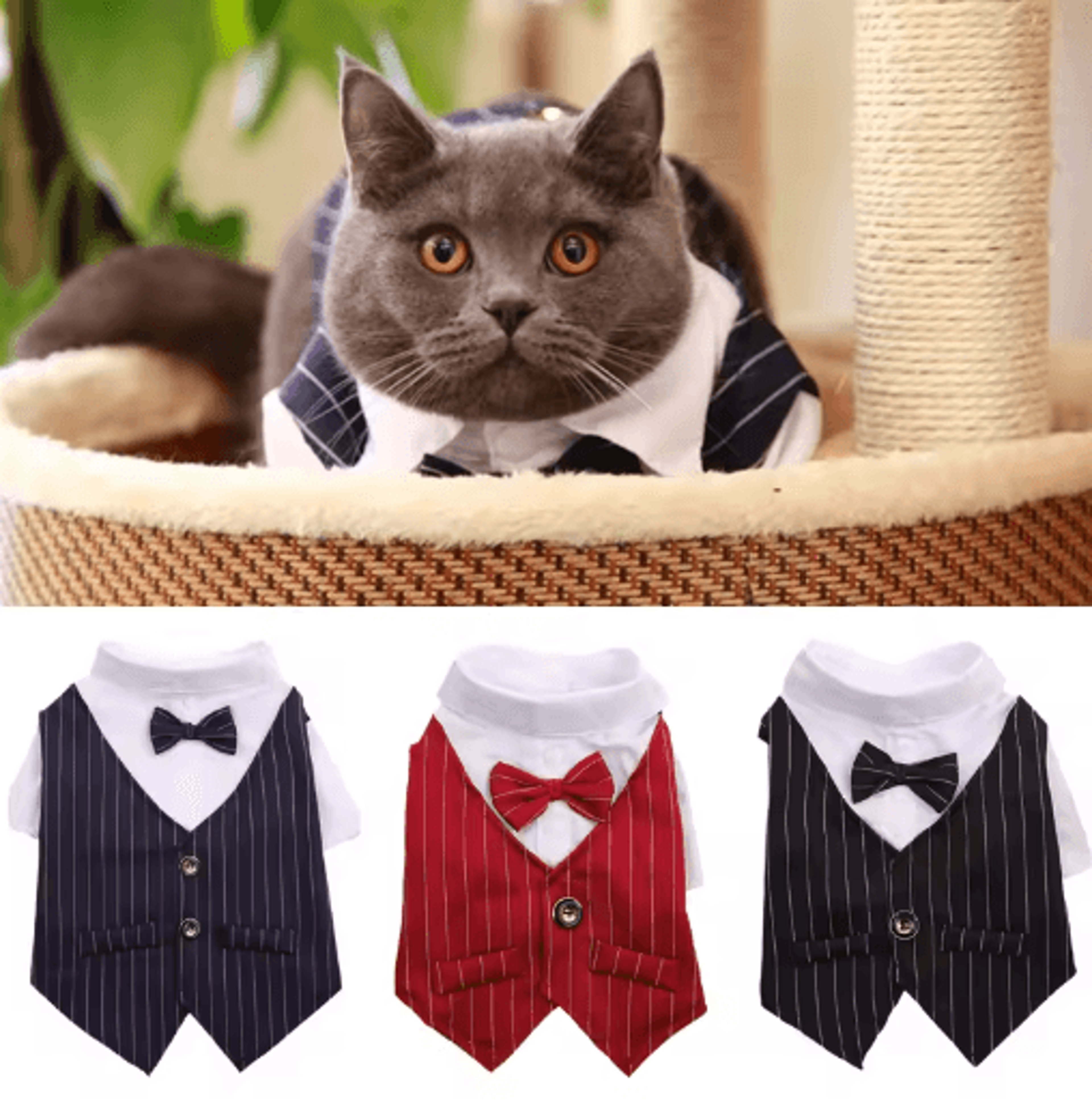 formal pet suit jacket stylish wedding & party outfit for cats and small dogs