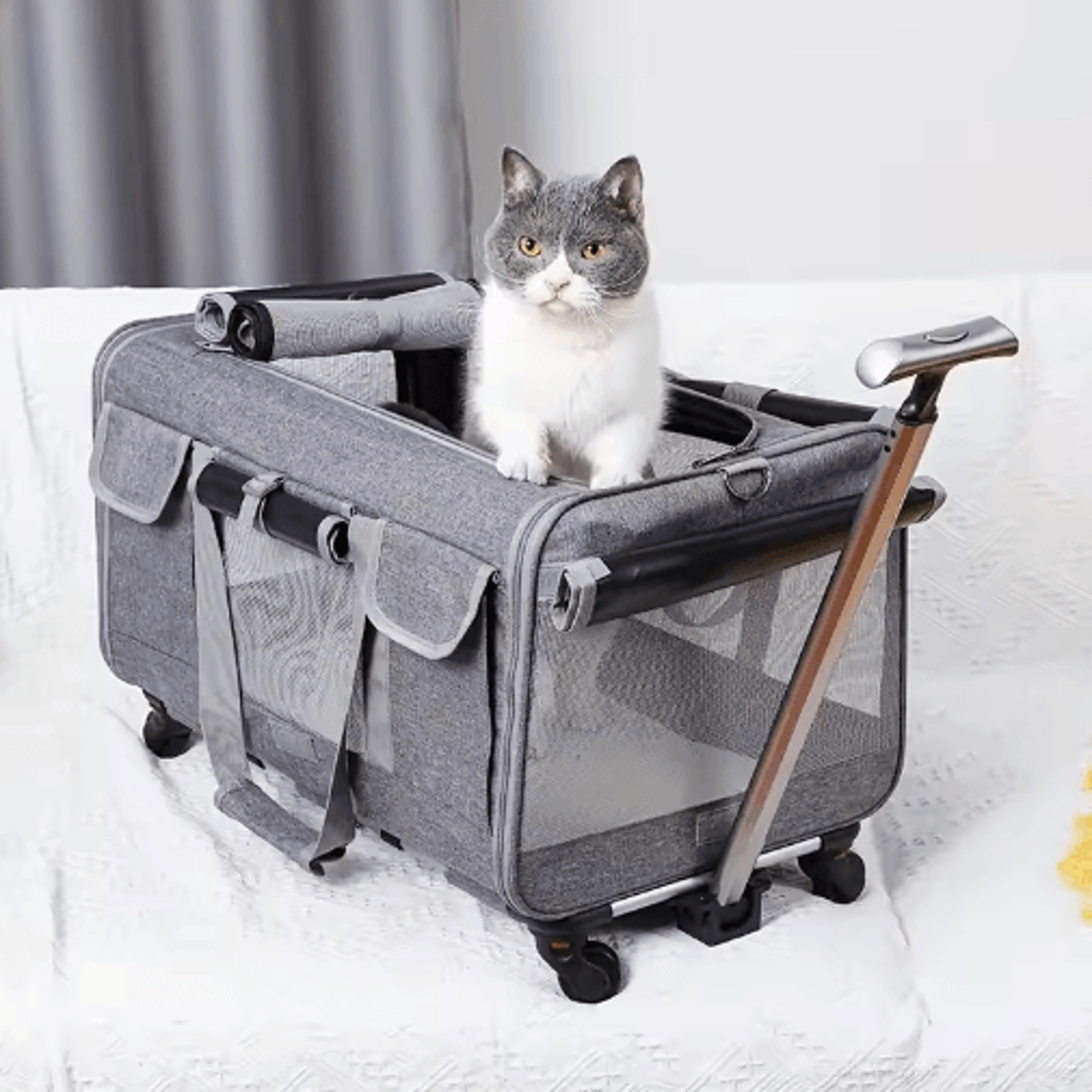 extra large foldable pet travel carrier trolley with detachable rolling case