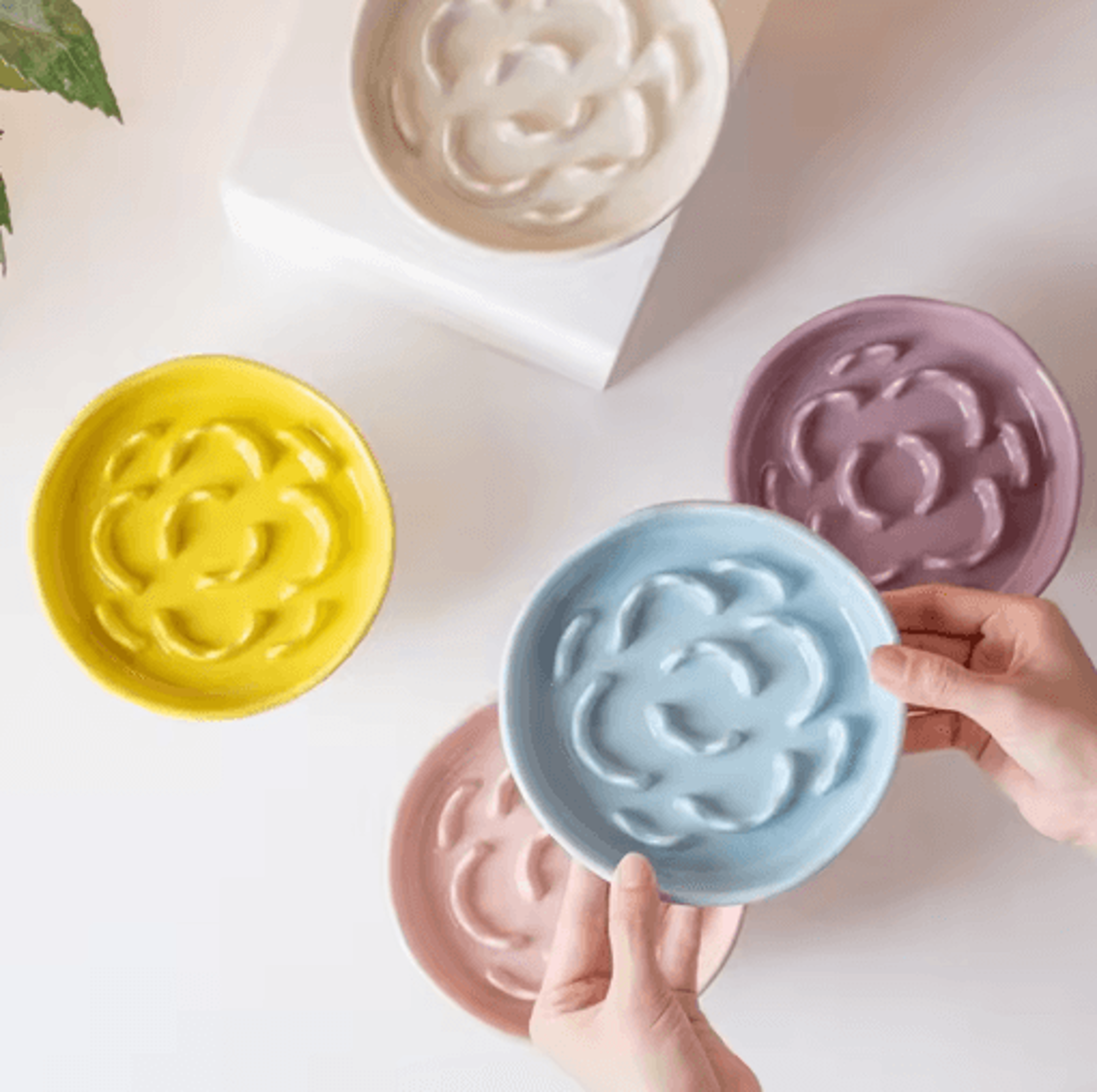 elevated ceramic slow feeder pet bowl for cats & small dogs