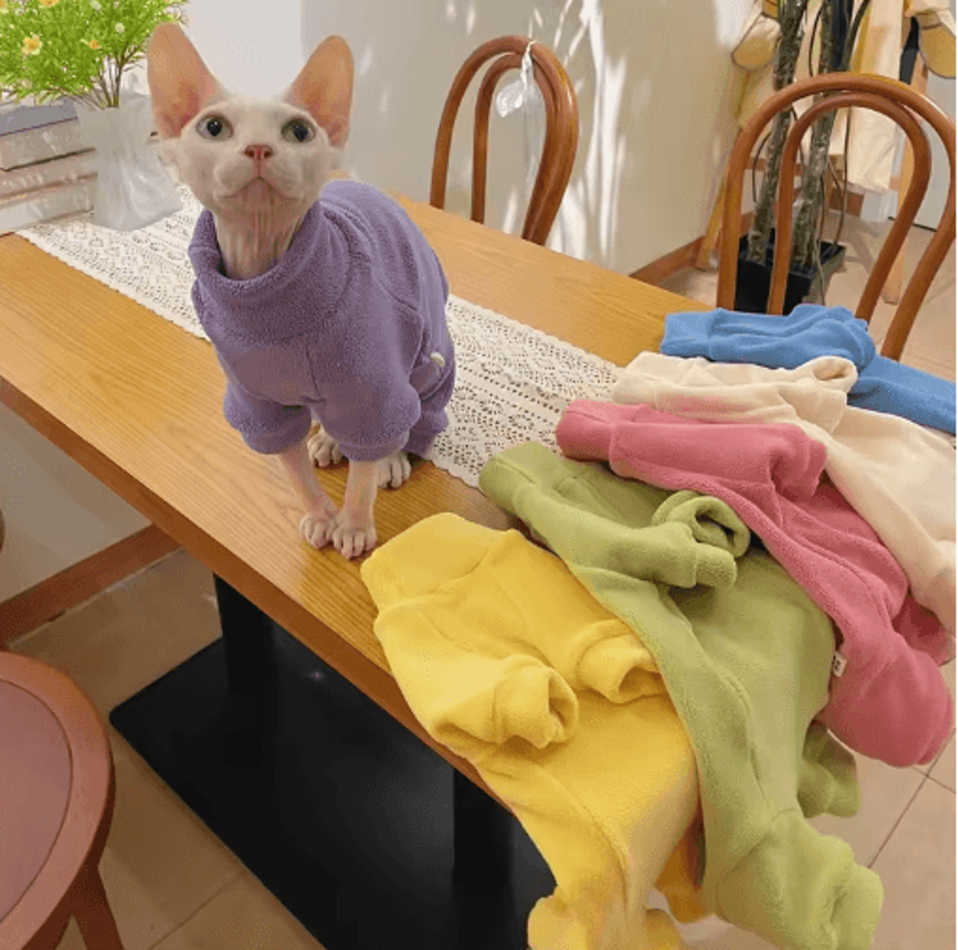 warm fleece 4 legged jumpsuit for sphynx cats & devon rex pets