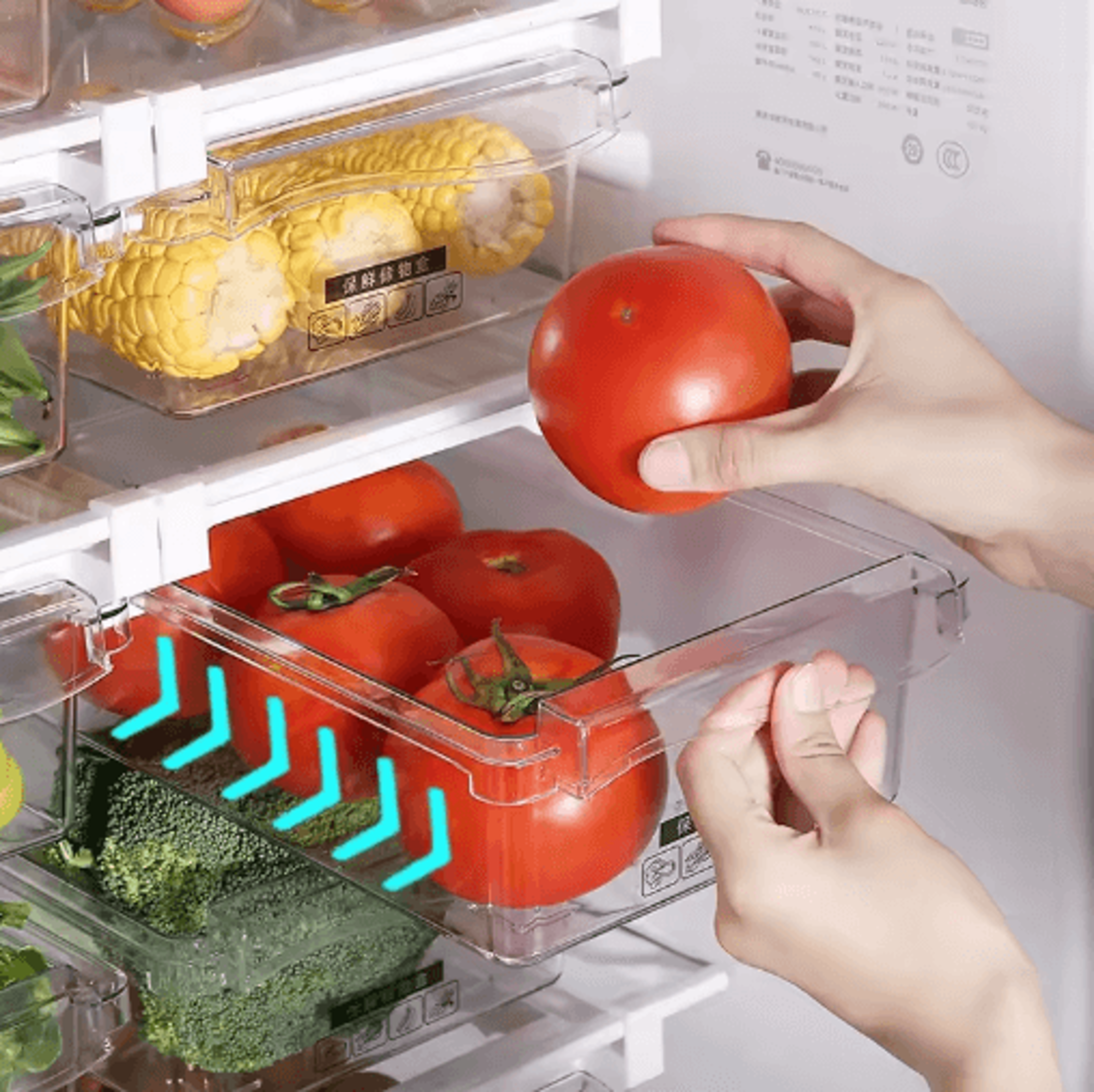 sliding refrigerator drawer storage box for fruits, vegetables & food organization