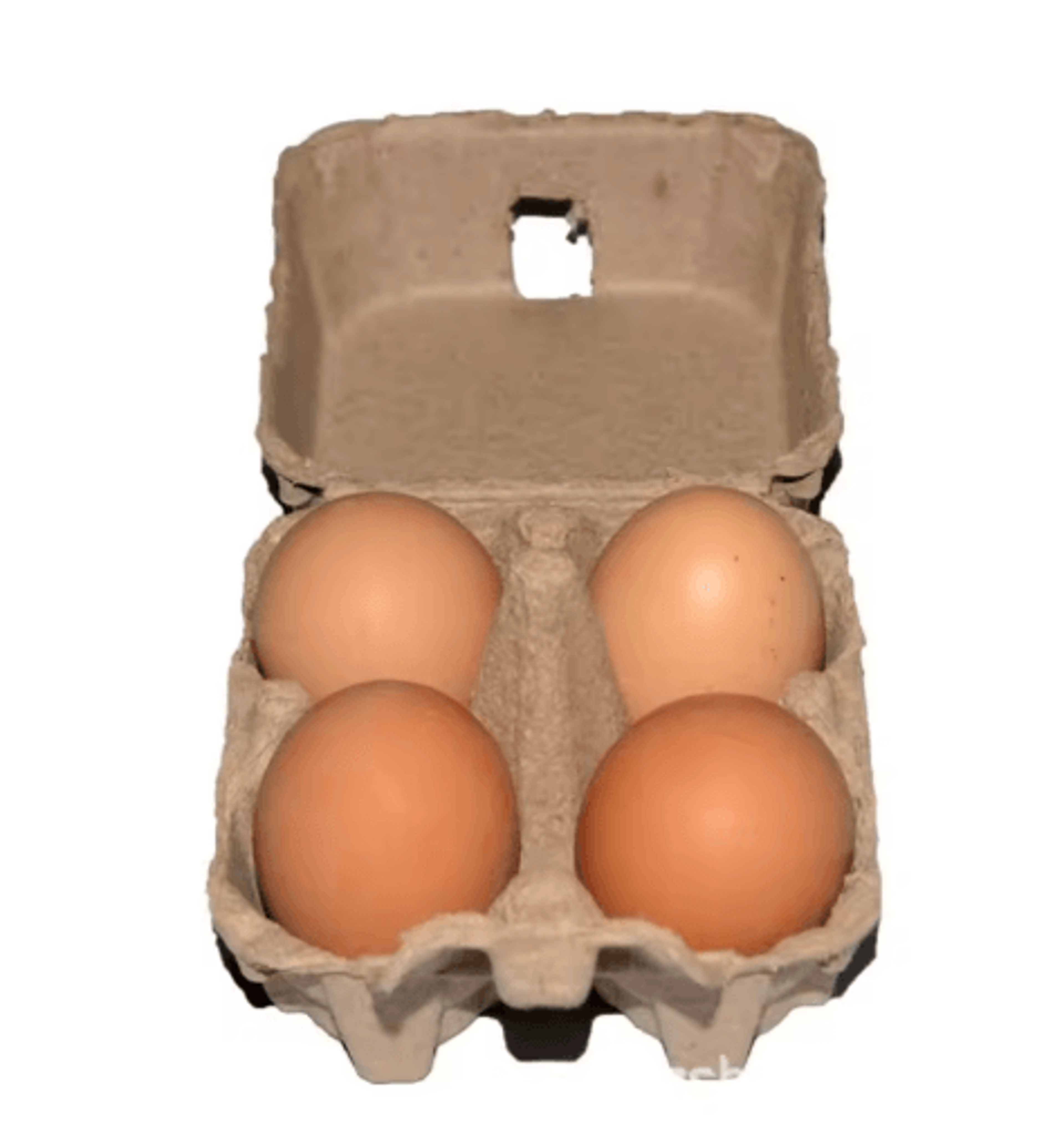 kraft pulp egg cartons & refrigerator egg storage trays for safe egg organization