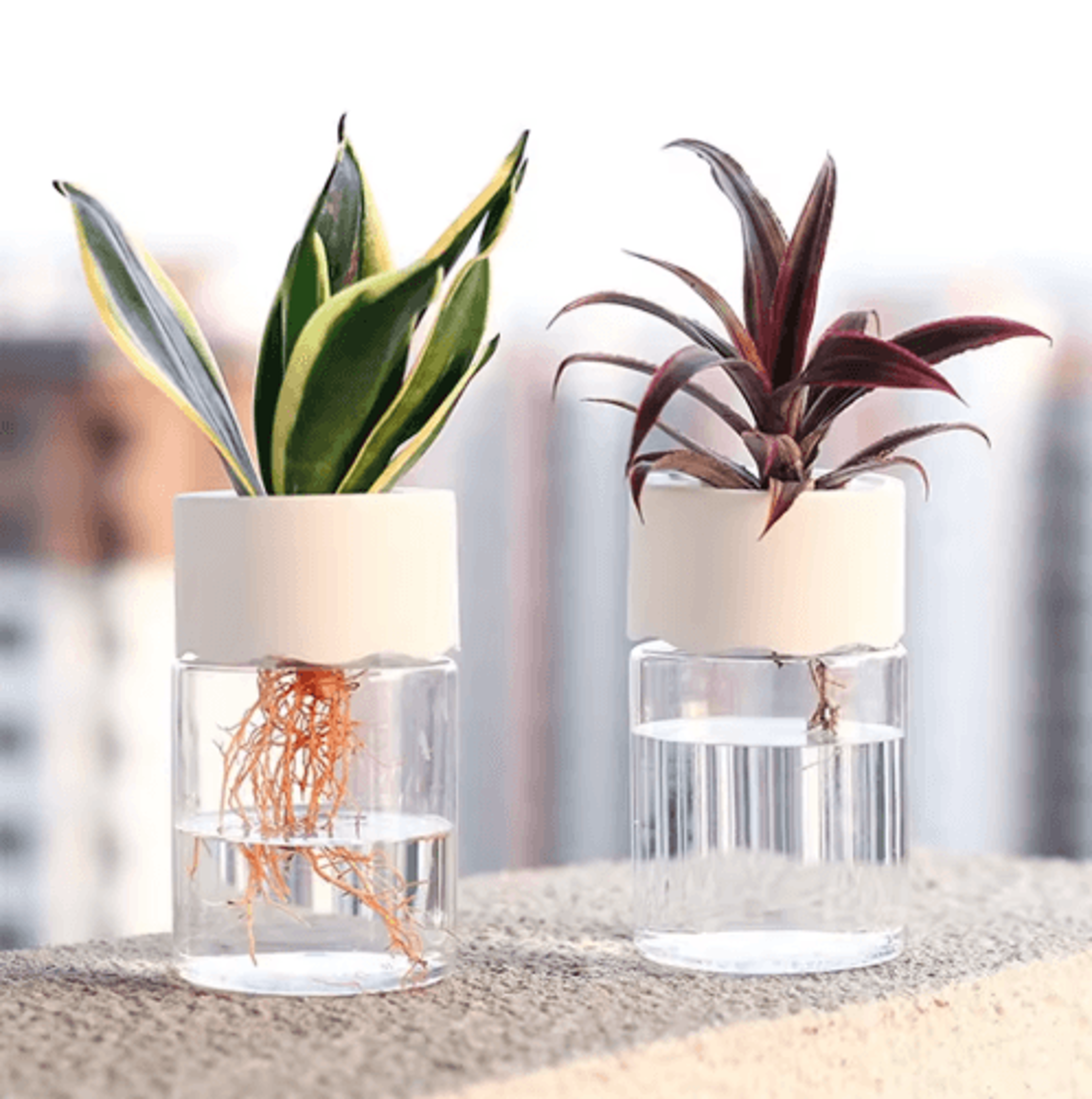 mini hydroponic flower pot transparent glass-look vase for home & office decor