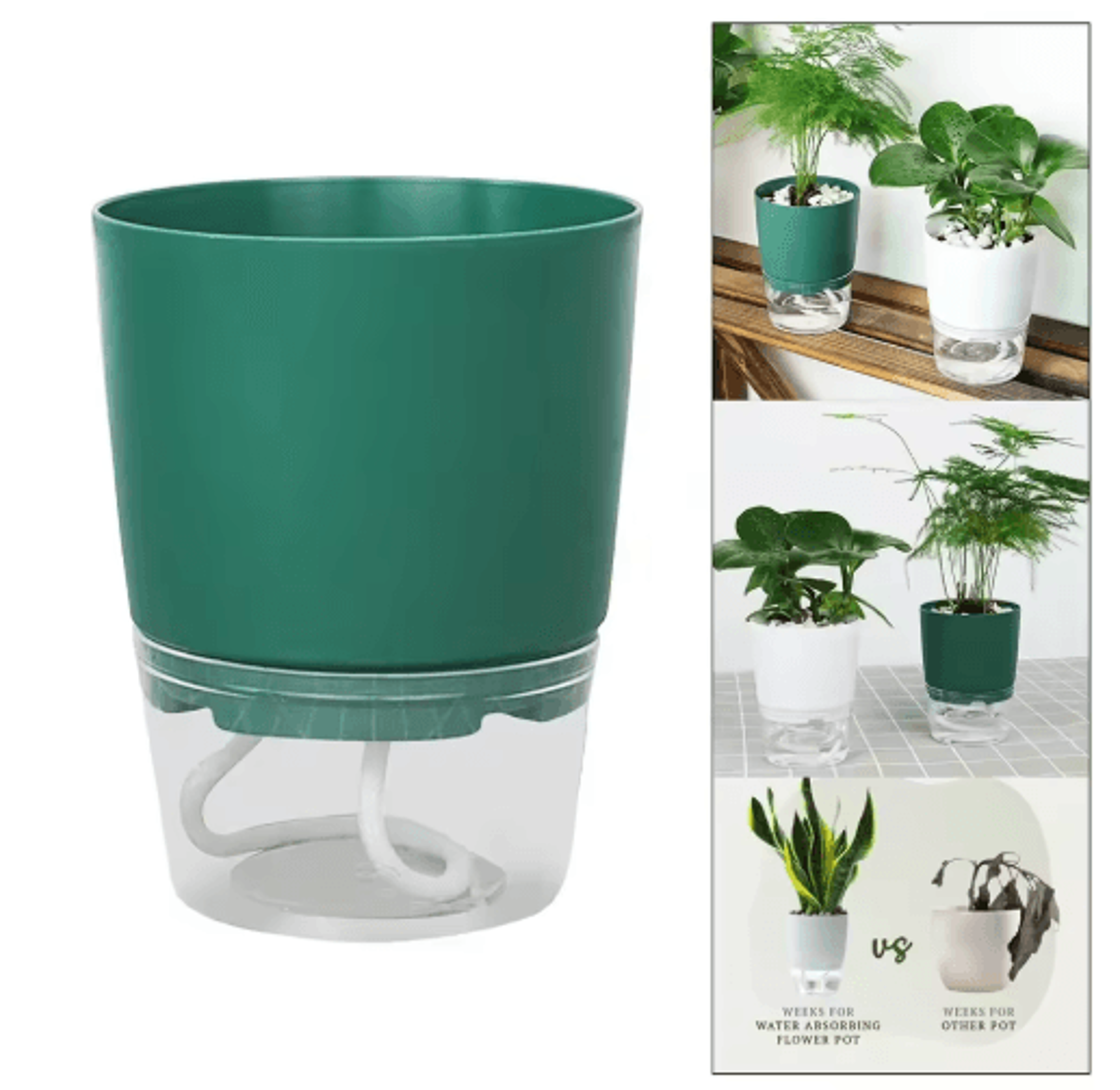 self-watering plant pot – modern hydroponic planter for succulents, flowers & indoor plants