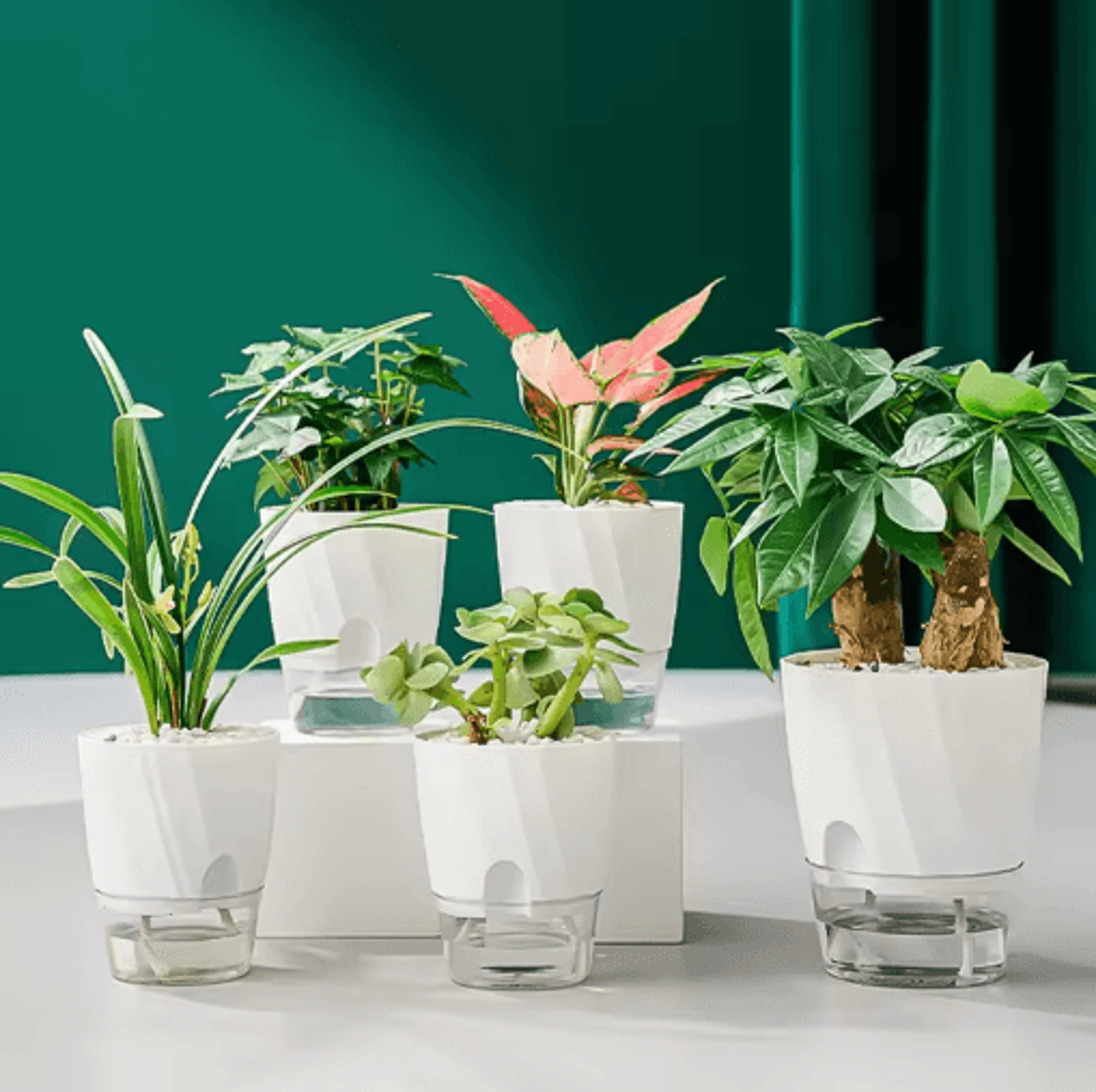 lazy hydroponic self-watering planter – transparent double layer automatic water-absorbing flower pot for home & office