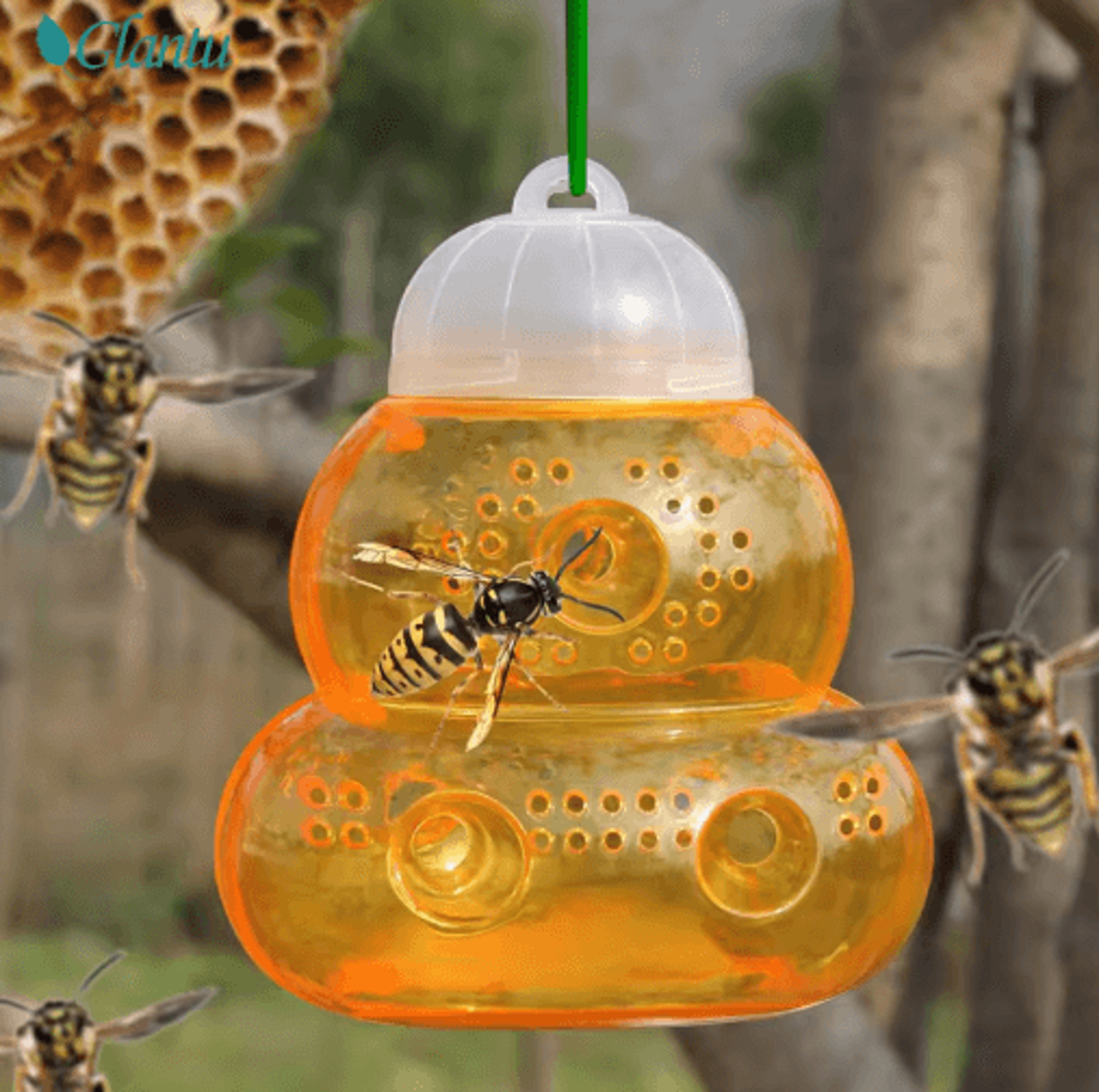 reusable outdoor wasp trap – non-toxic multi-hole bee & wasp catcher for garden, farm & yard