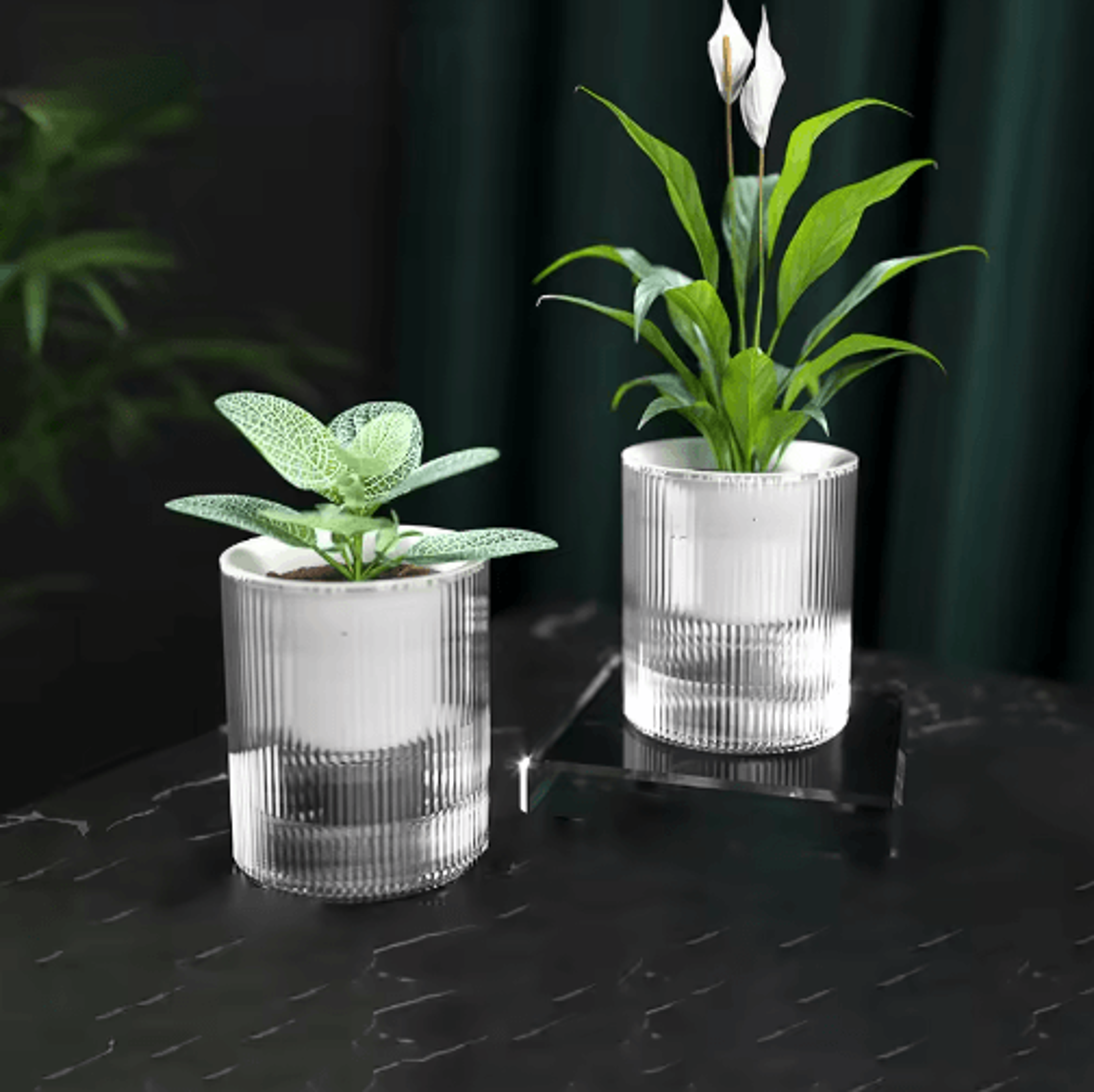 self-watering mini planter pot – indoor hydroponic succulent flower pot for desktop & home decor