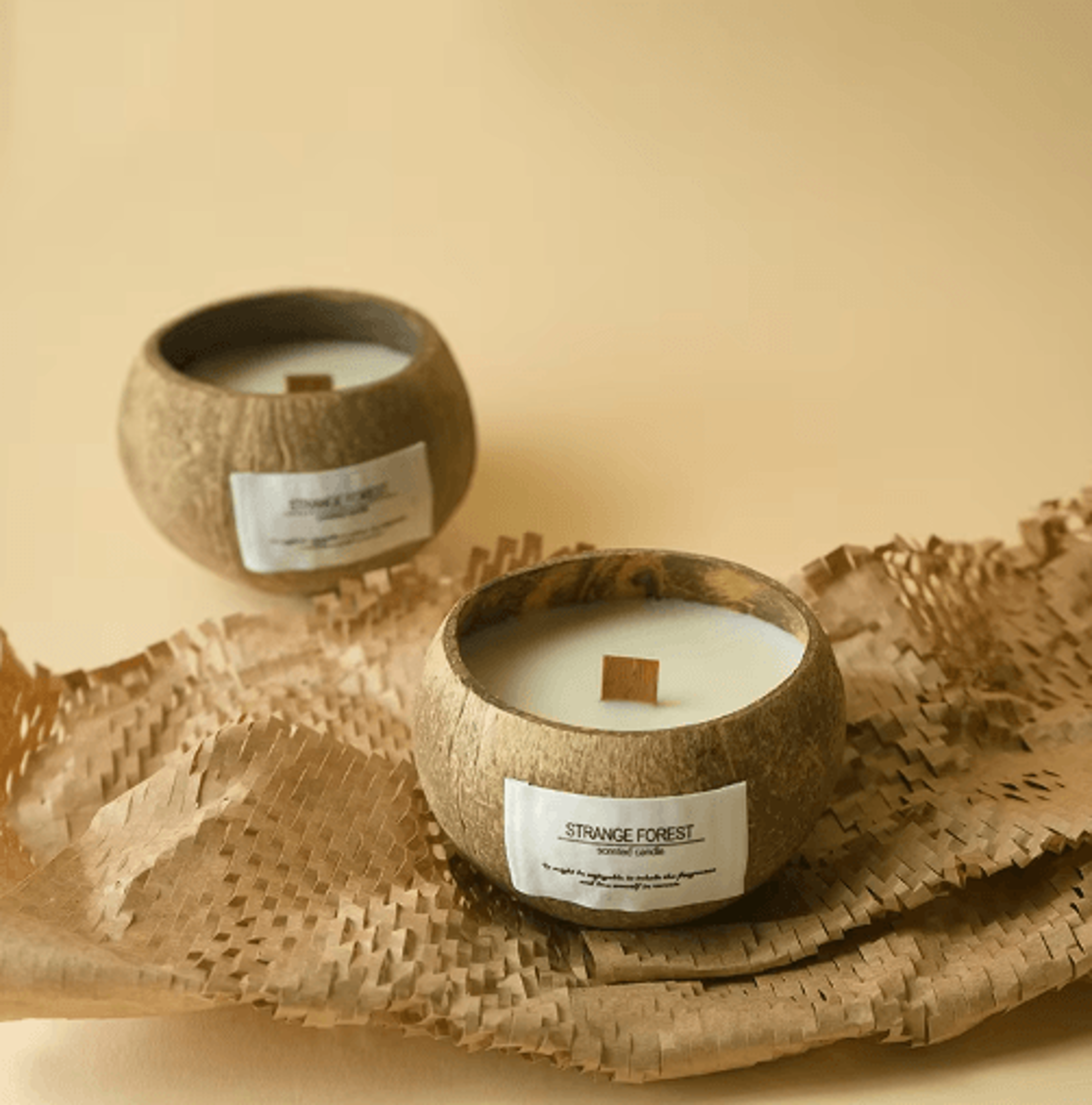 coconut shell aromatherapy candle – premium plant wax scented candle with essential oil fragrance
