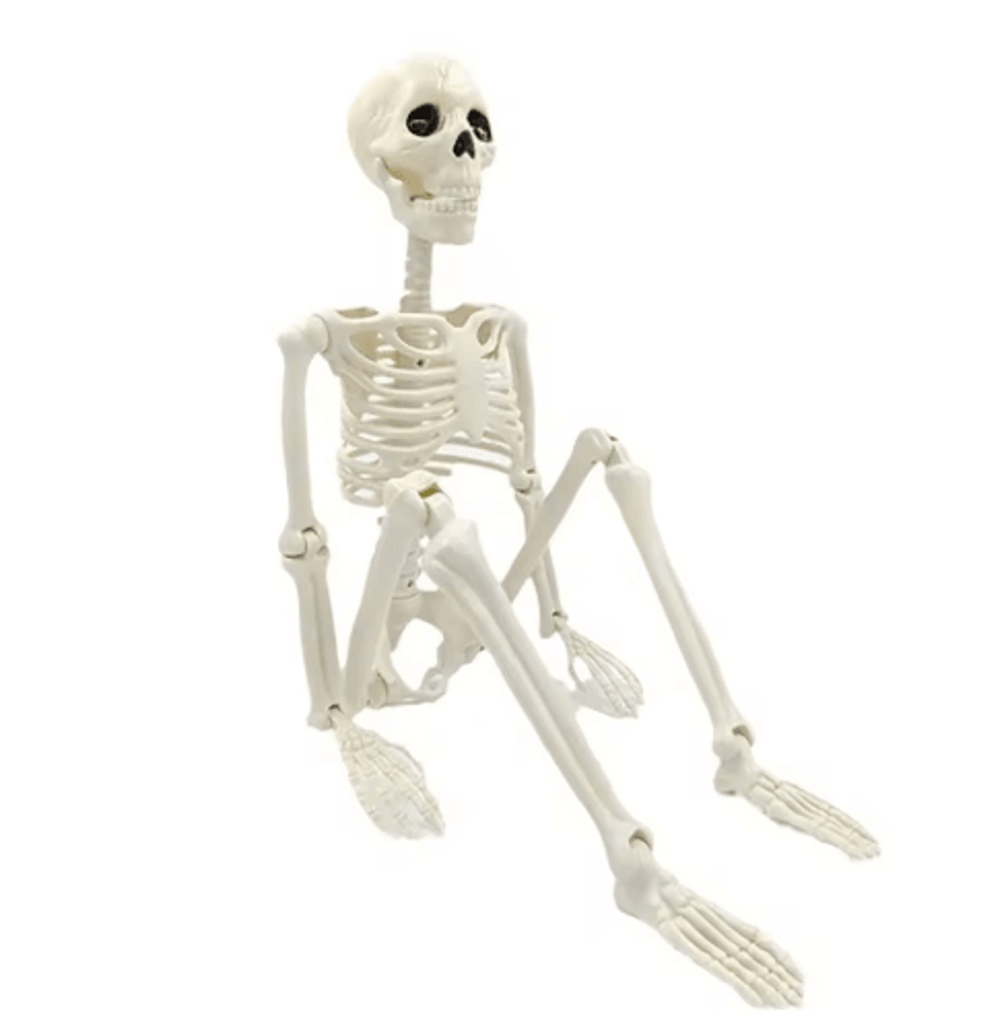 posable halloween skeleton – human-shaped fake bone horror prop for haunted house & party decor
