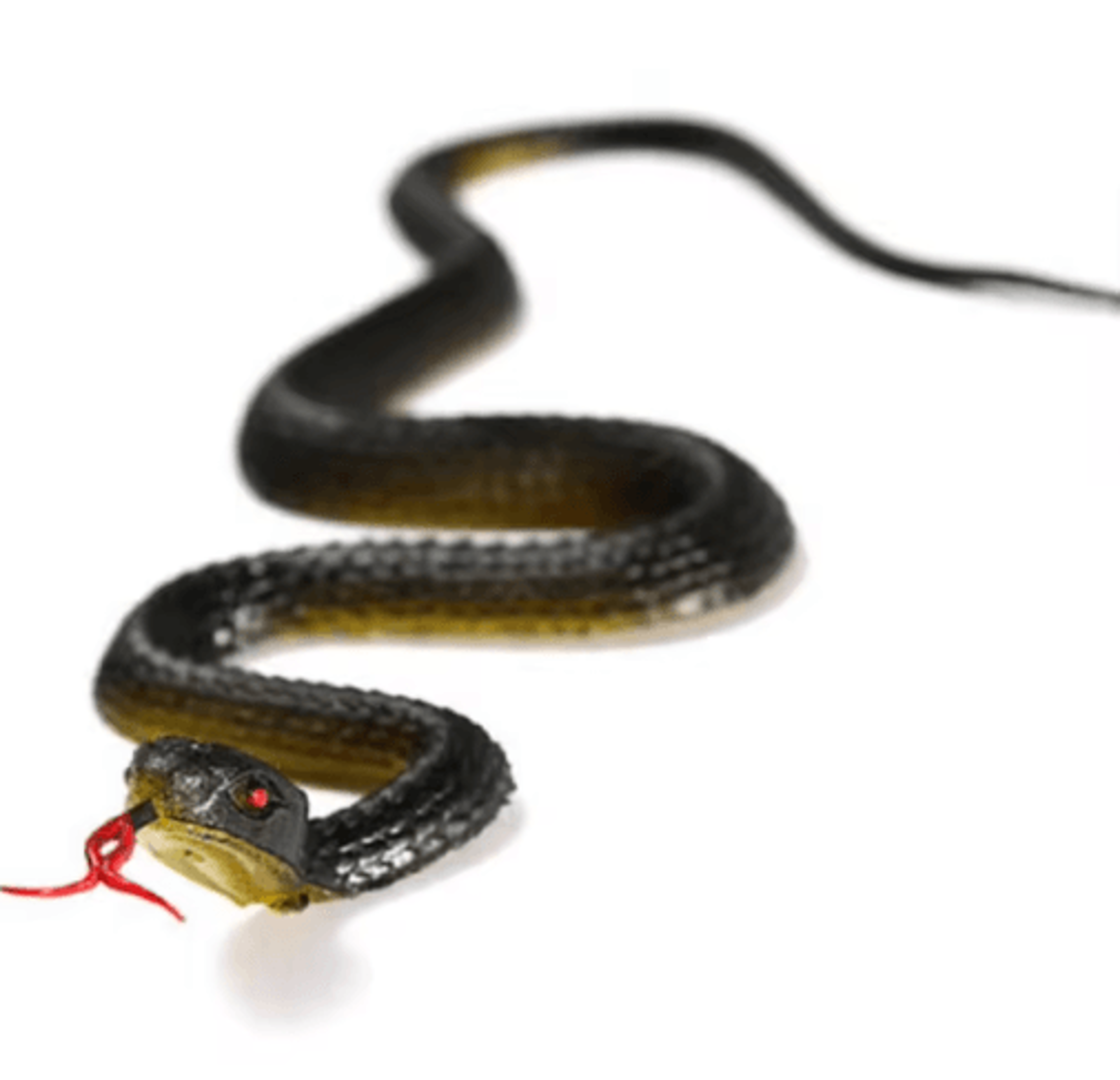 45cm realistic rubber snake – fake anaconda prank toy & halloween scary decoration