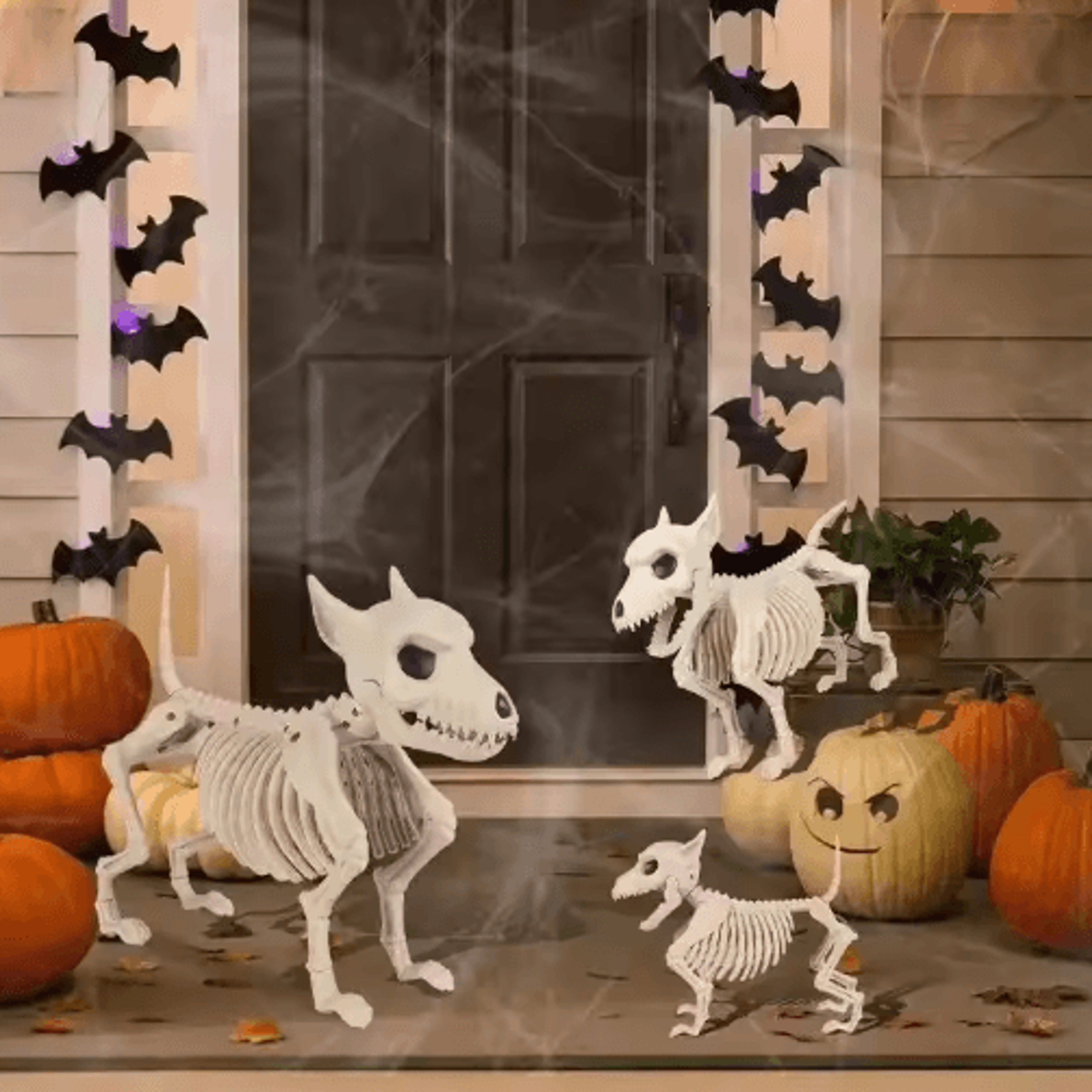 halloween skeleton animal decorations – simulated wolf, frog & crow skeleton props for indoor & outdoor decor