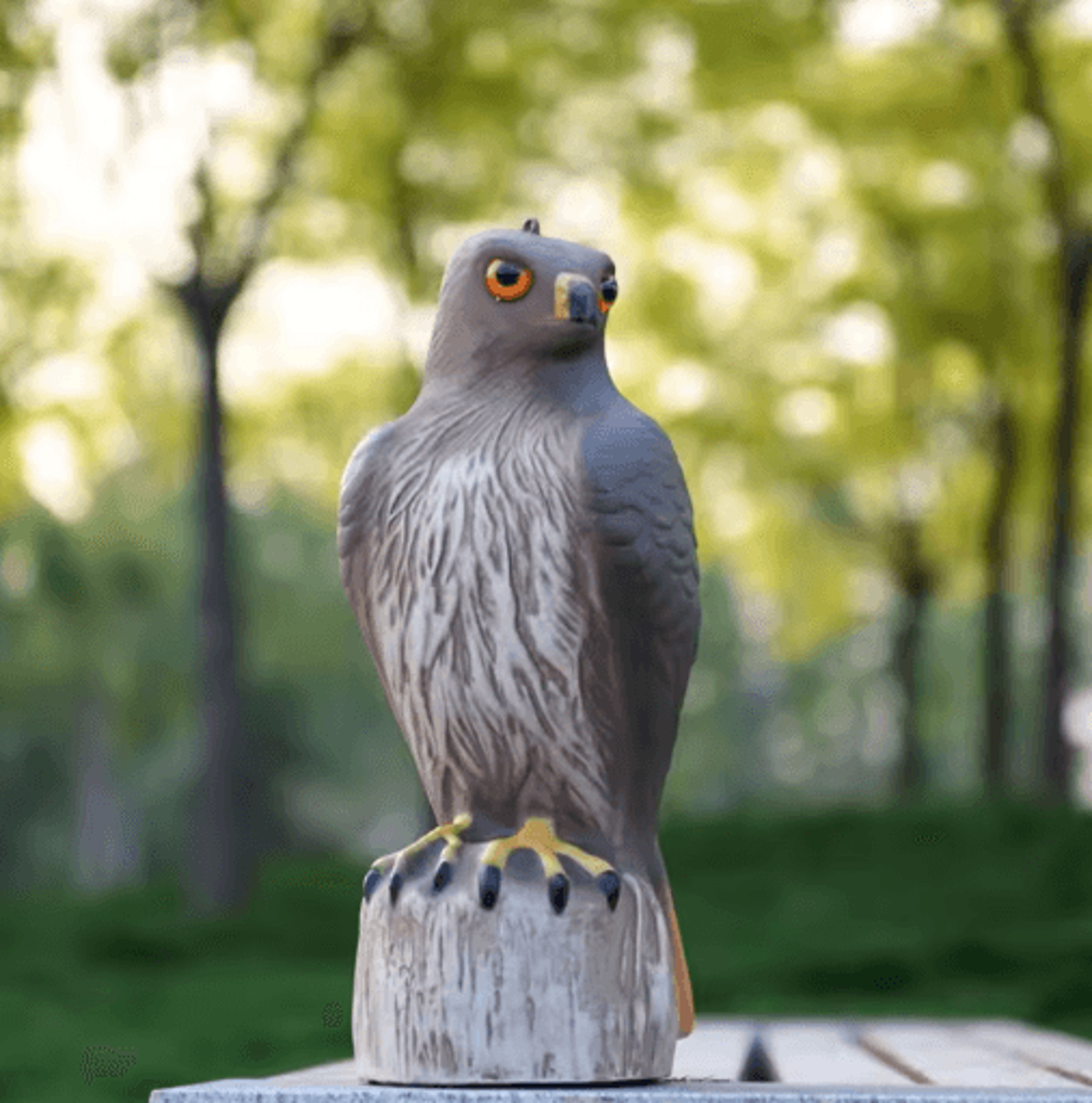 realistic large eagle decoy bird deterrent for garden