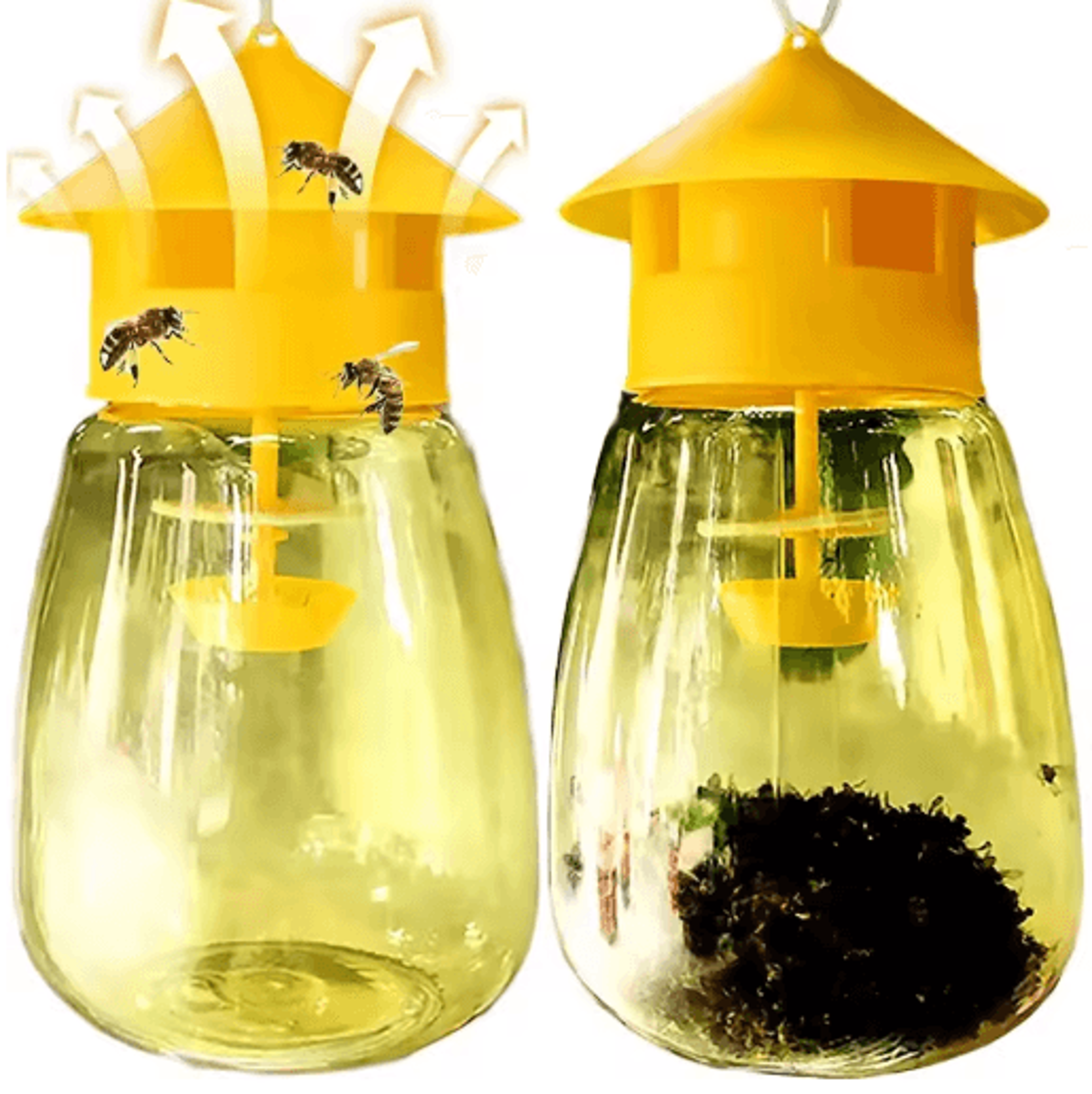 reusable transparent fruit fly trap for home & garden