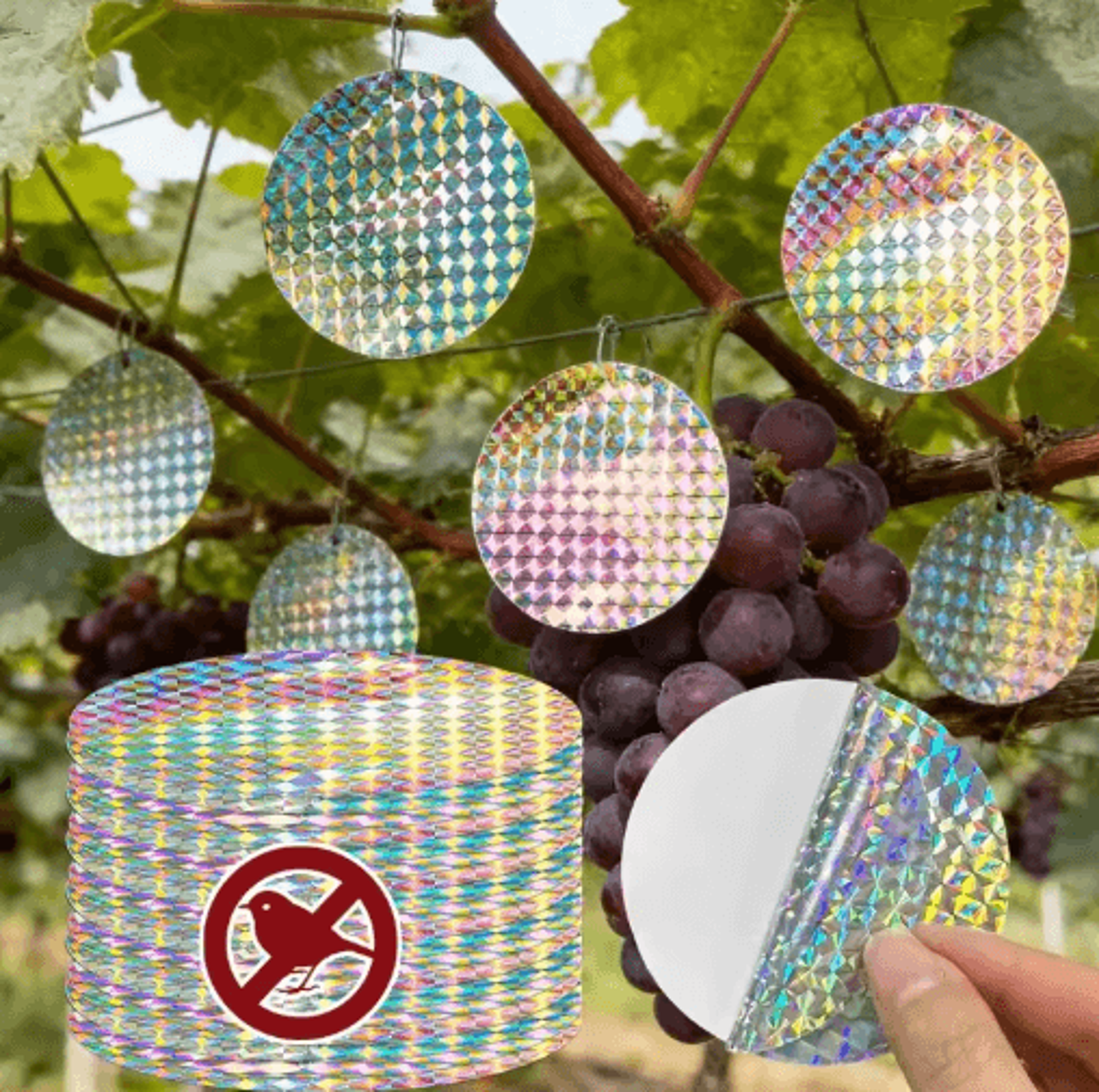 adhesive reflective bird repellent discs for outdoor use