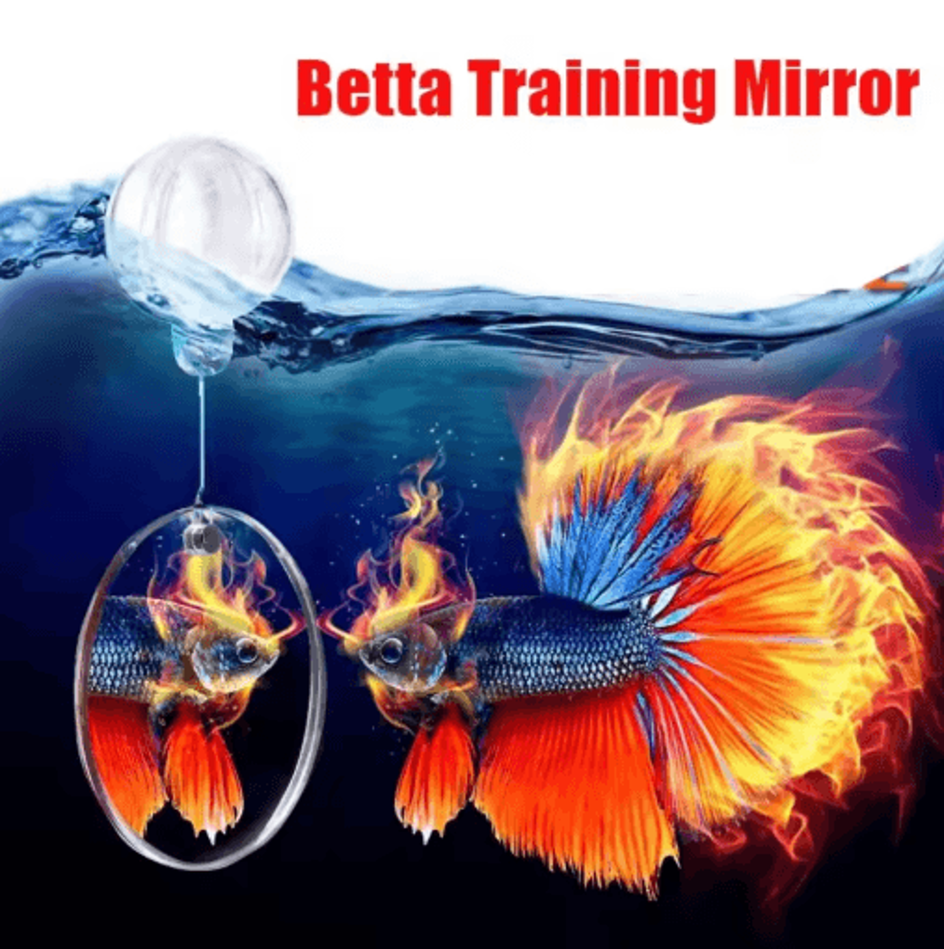 double-sided betta fish training mirror aquarium decoration