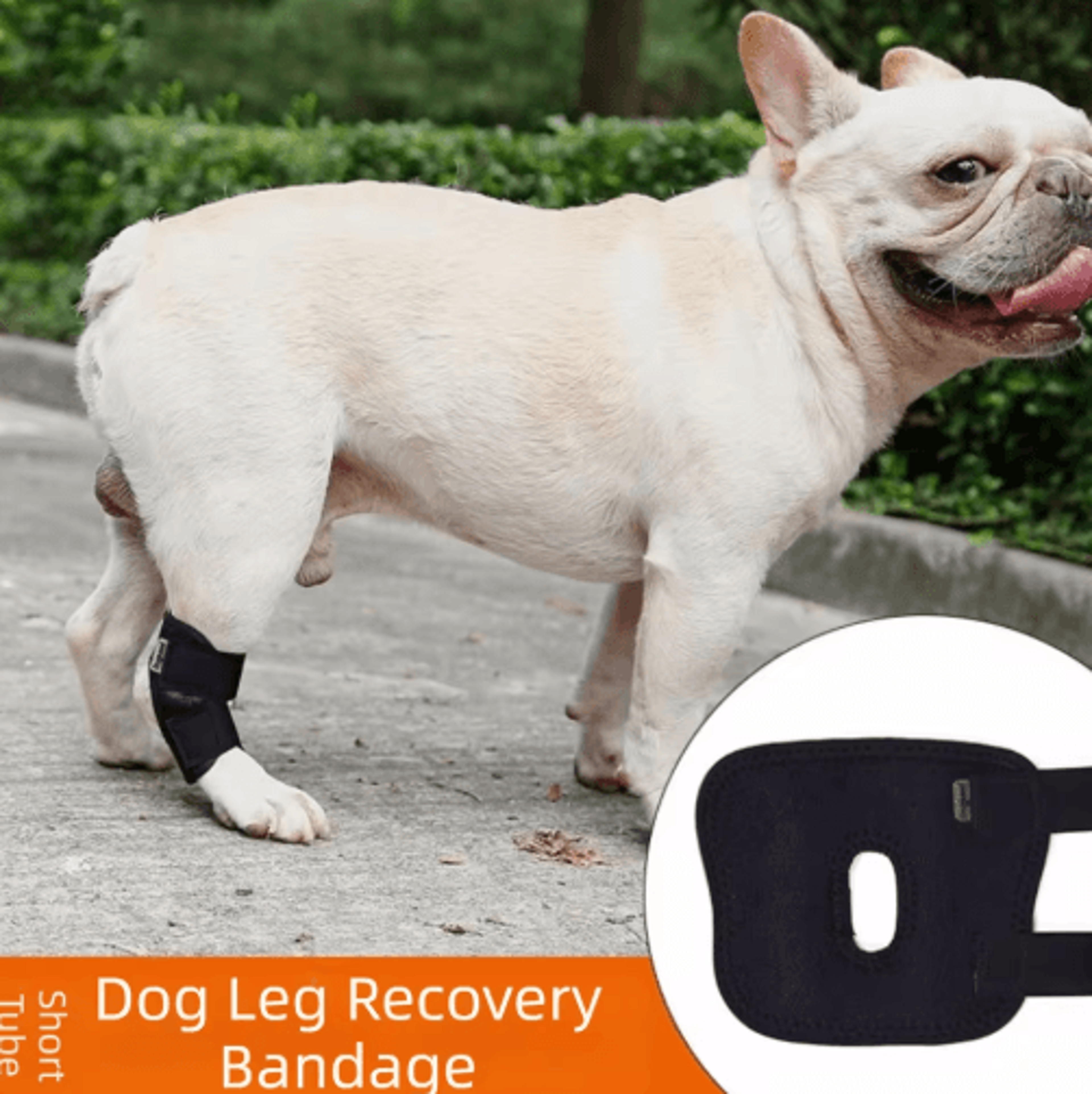 dog hock joint brace & leg protector