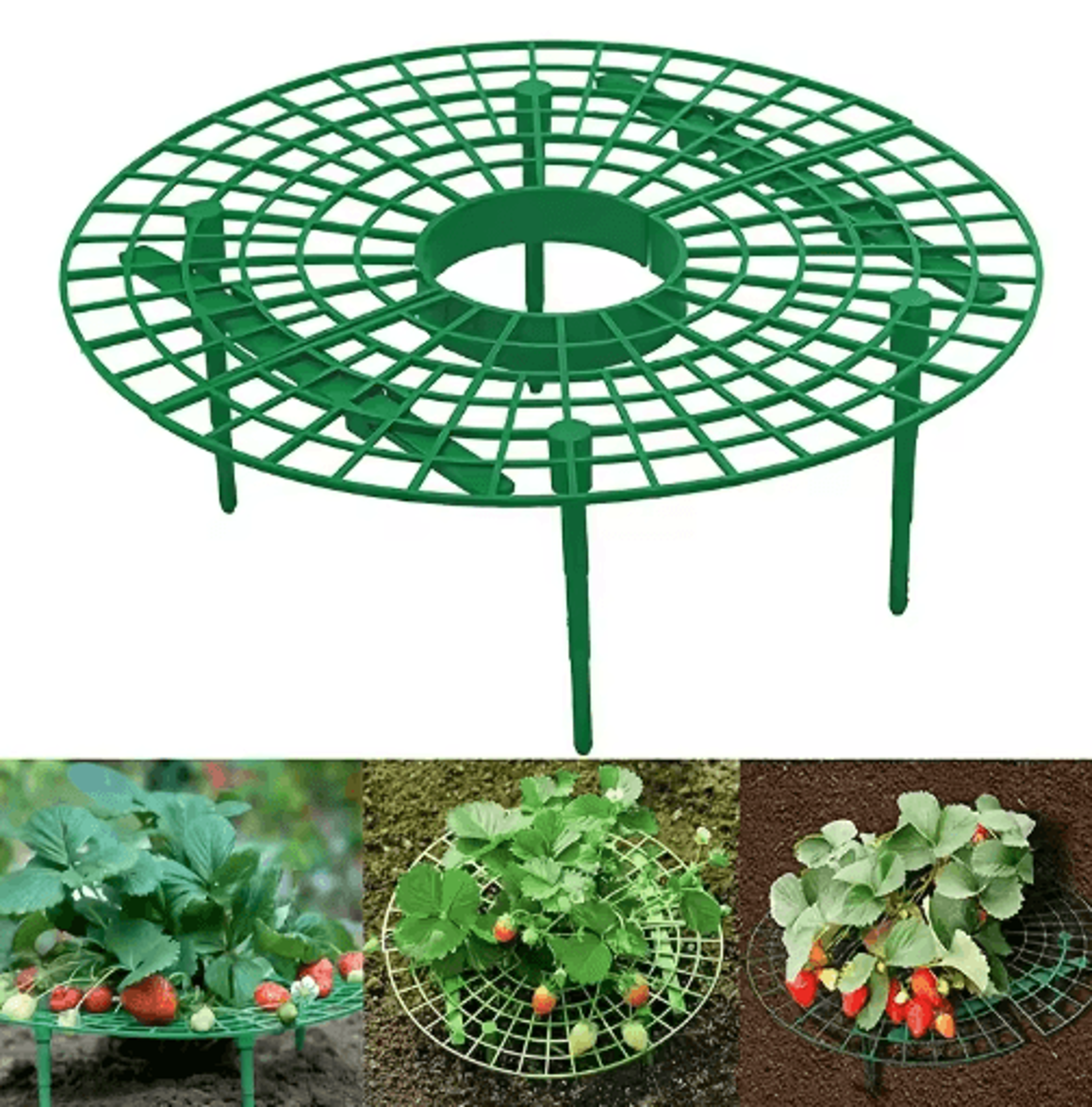 5/10-piece strawberry plant support stands