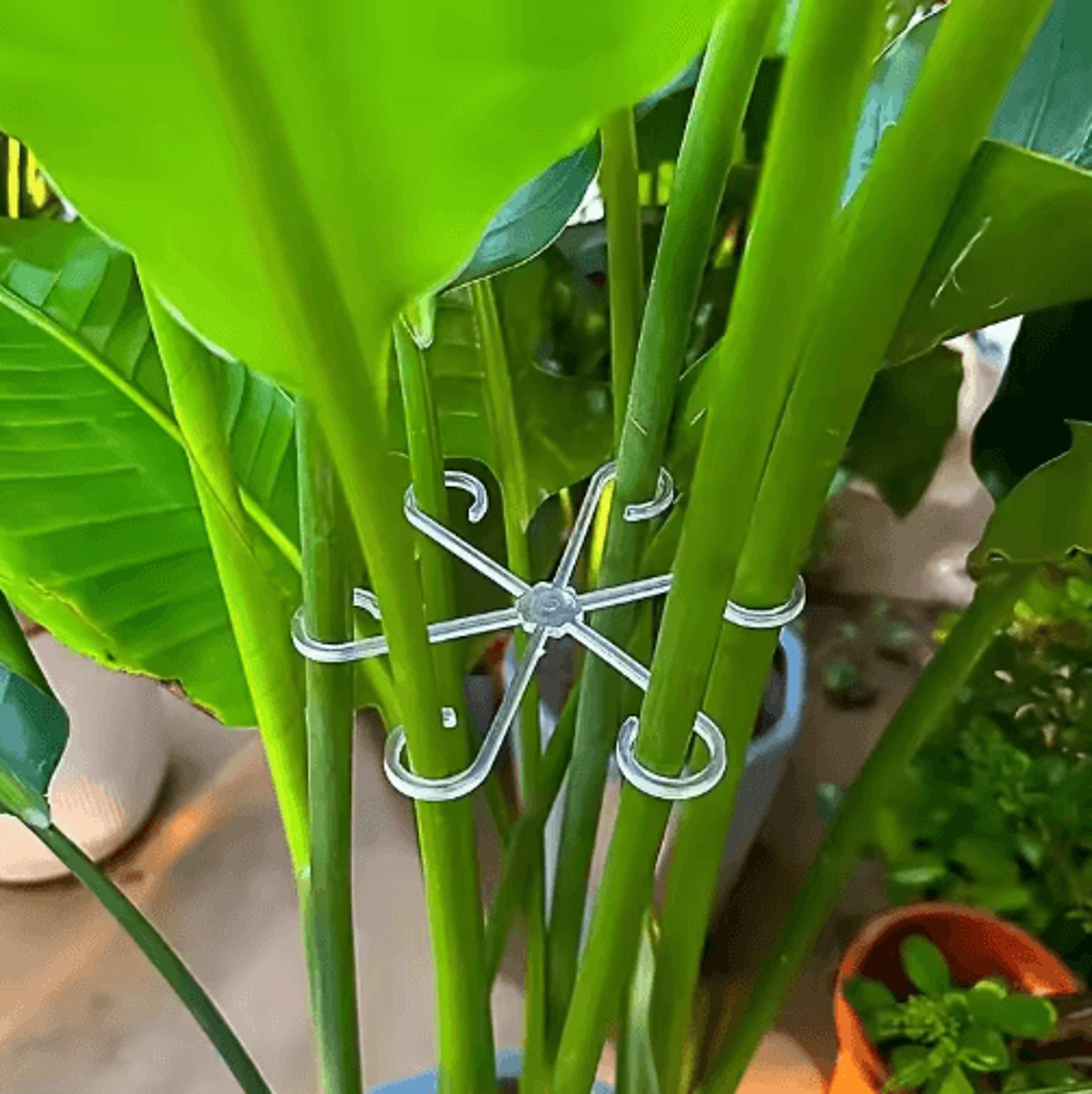 4pcs transparent u-shaped plant support stakes – foldable garden supports for potted plants