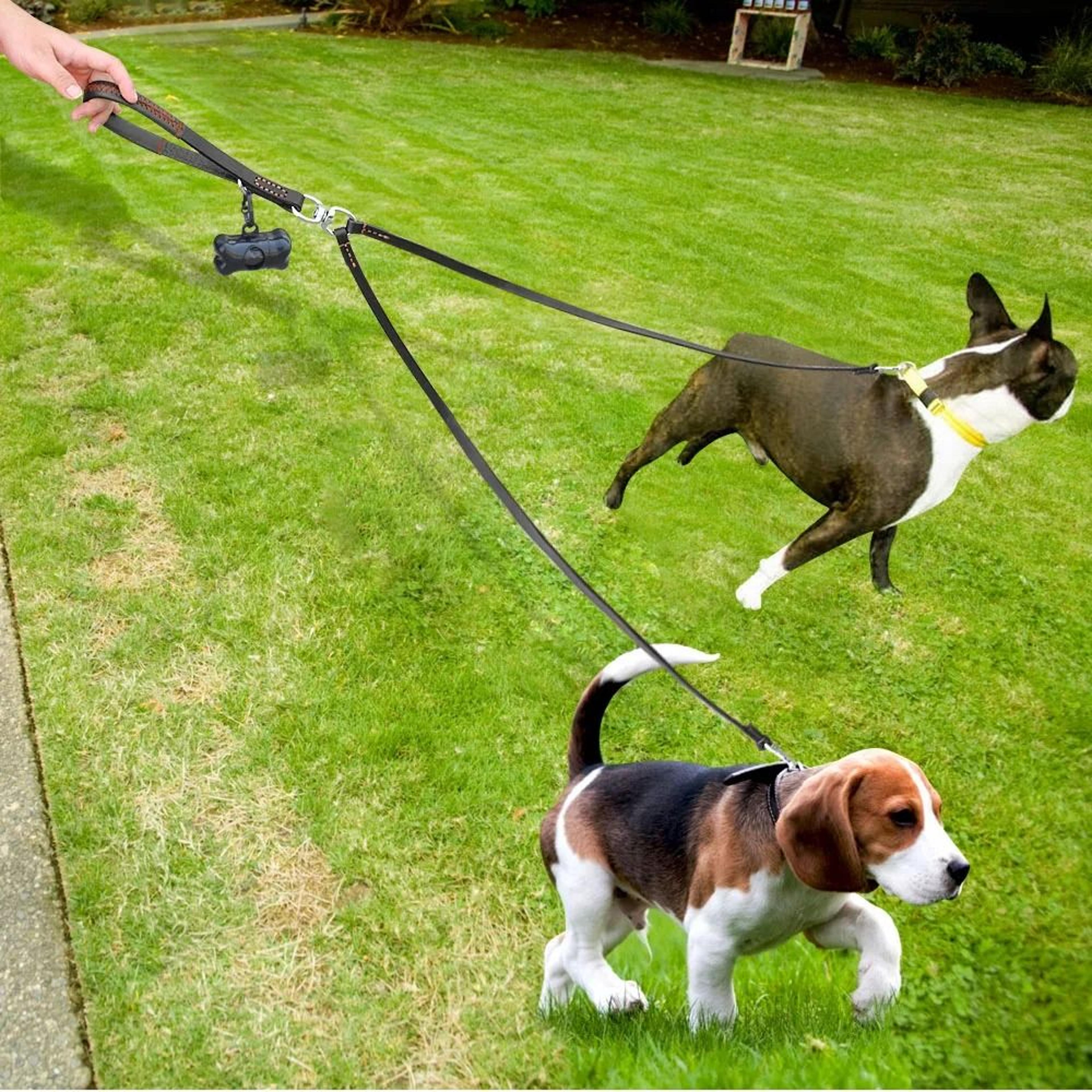 two way no tangle double dog leash for walking and training