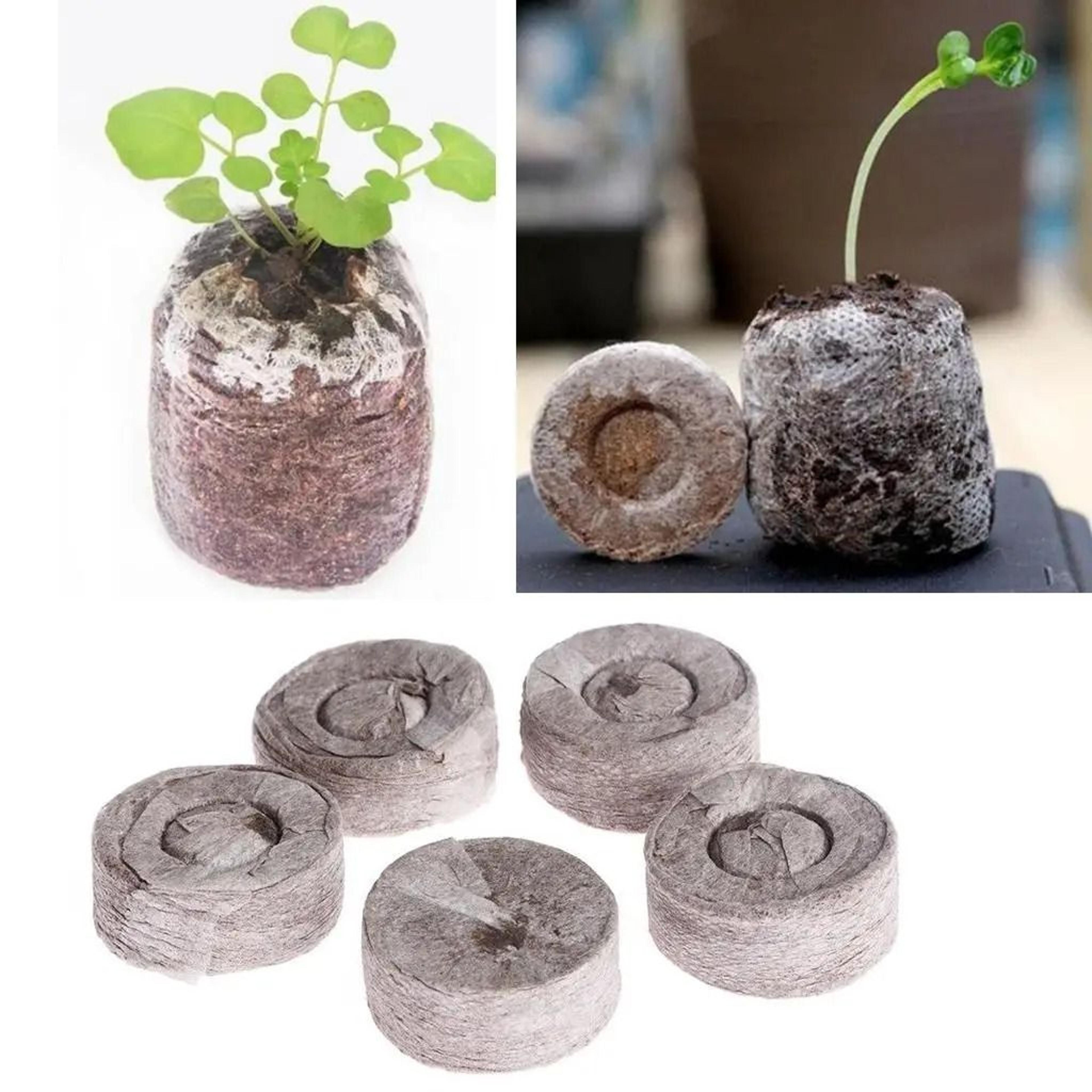 seed starting peat pellets soil blocks for garden seedlings 10 pack