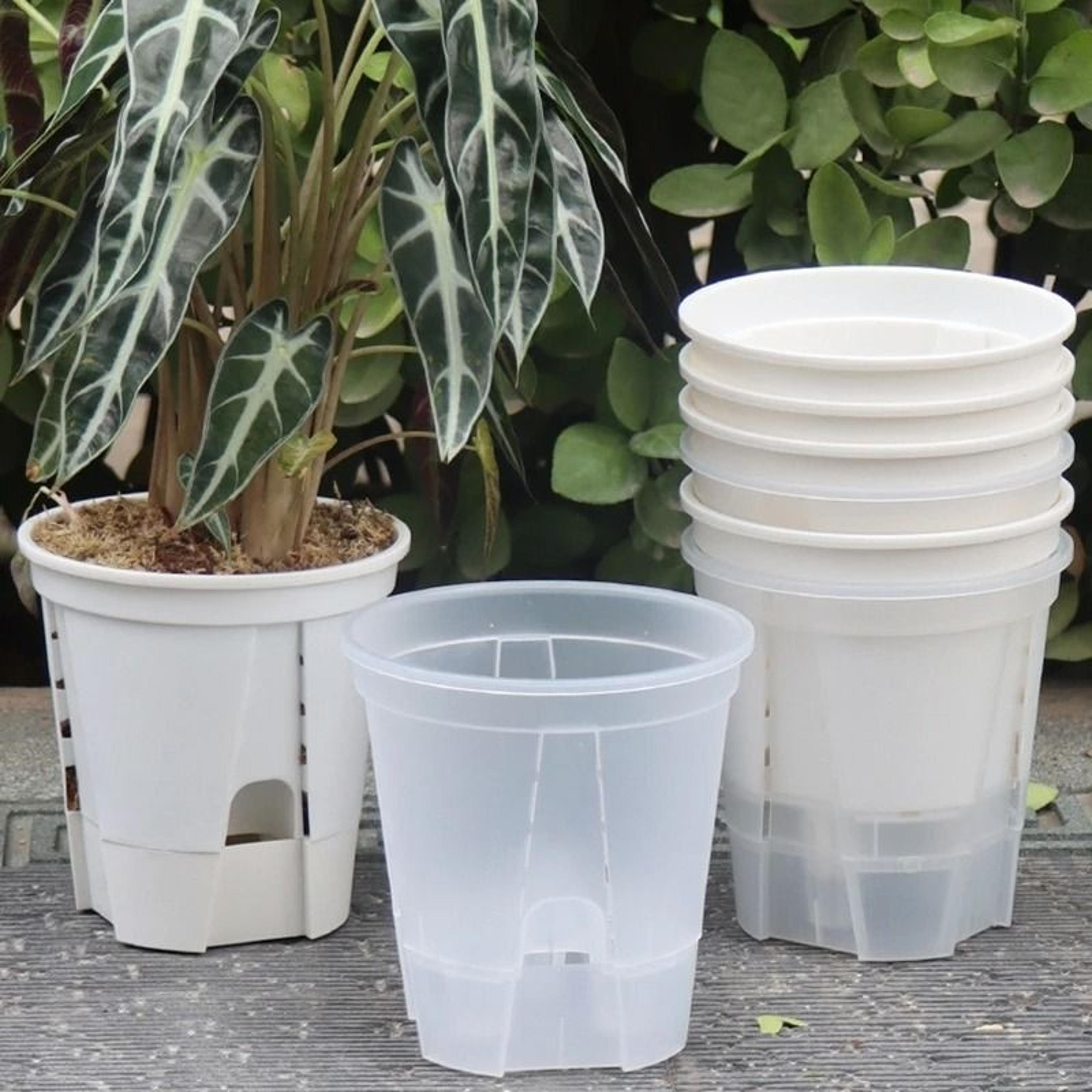 transparent self watering plant pot with drainage for indoor outdoor plants