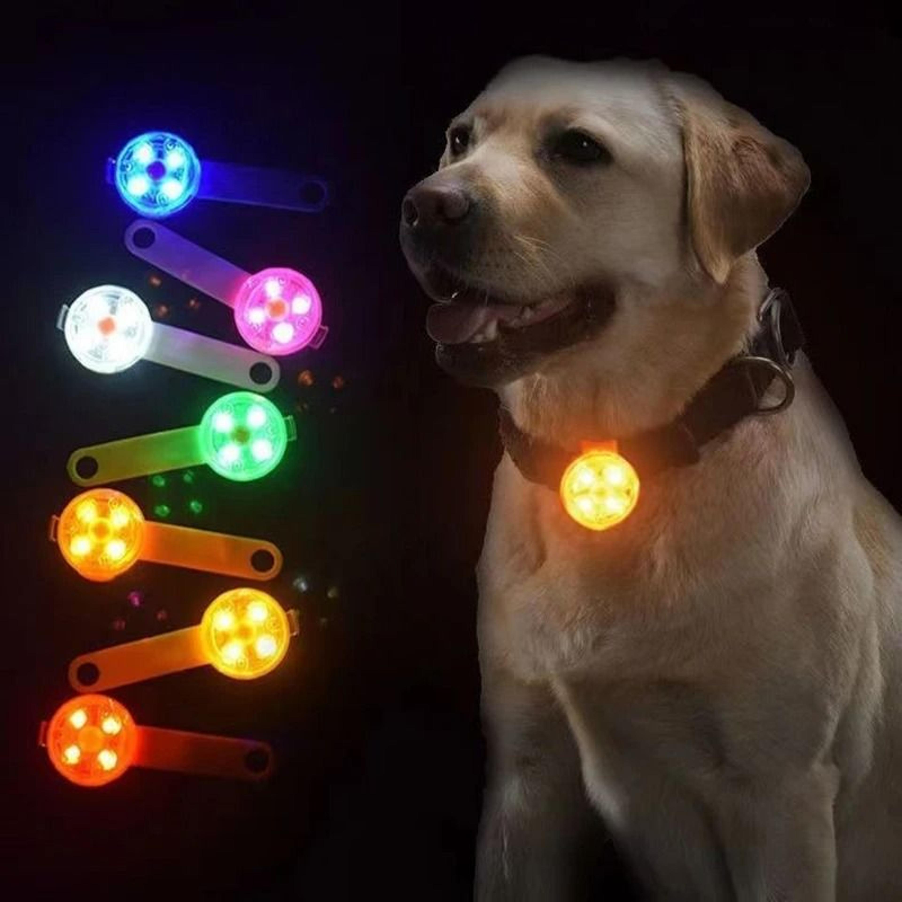 rechargeable led dog collar light night safety flash pendantc