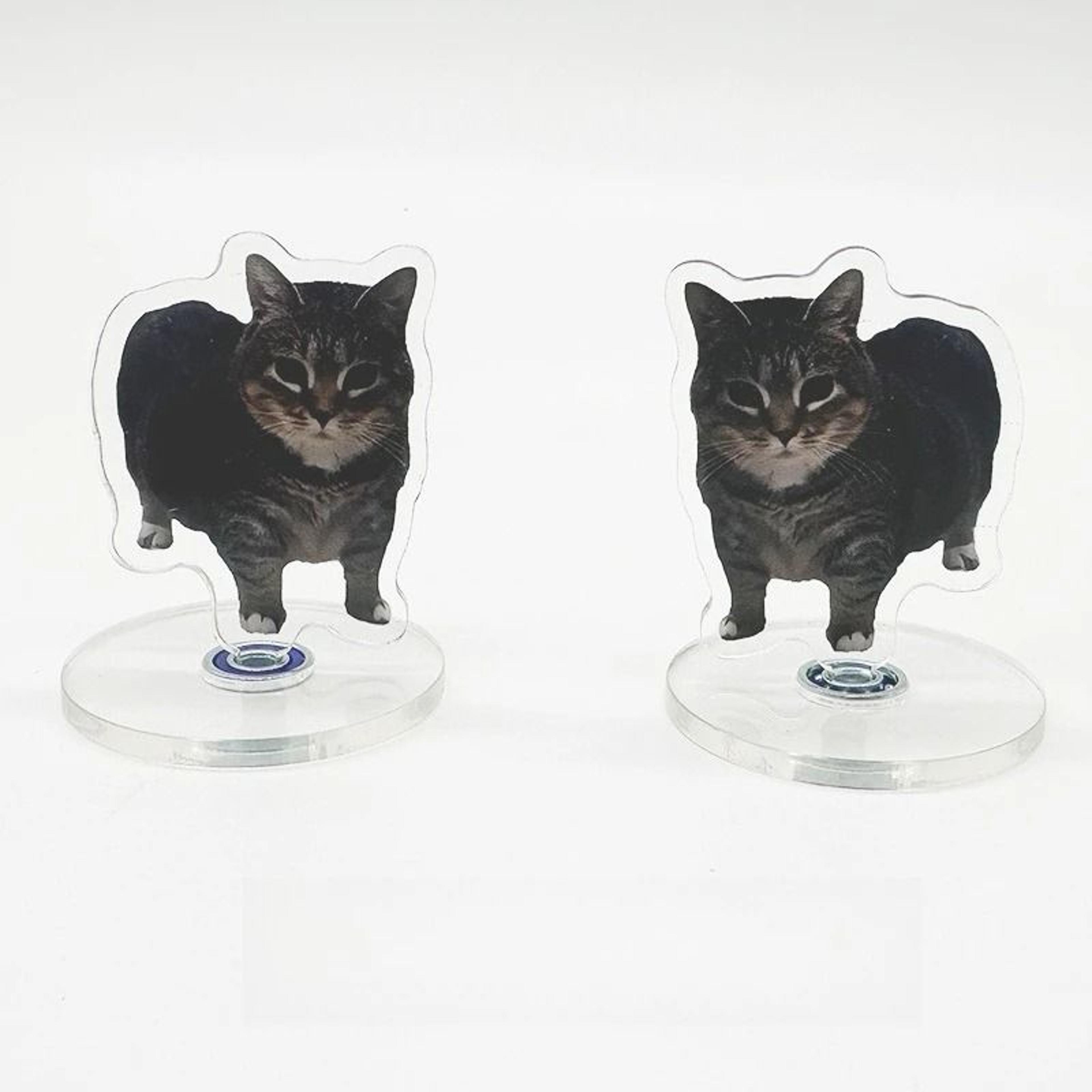 rotating cat desk decor cute kitten acrylic stand kawaii cat ornament 360 display