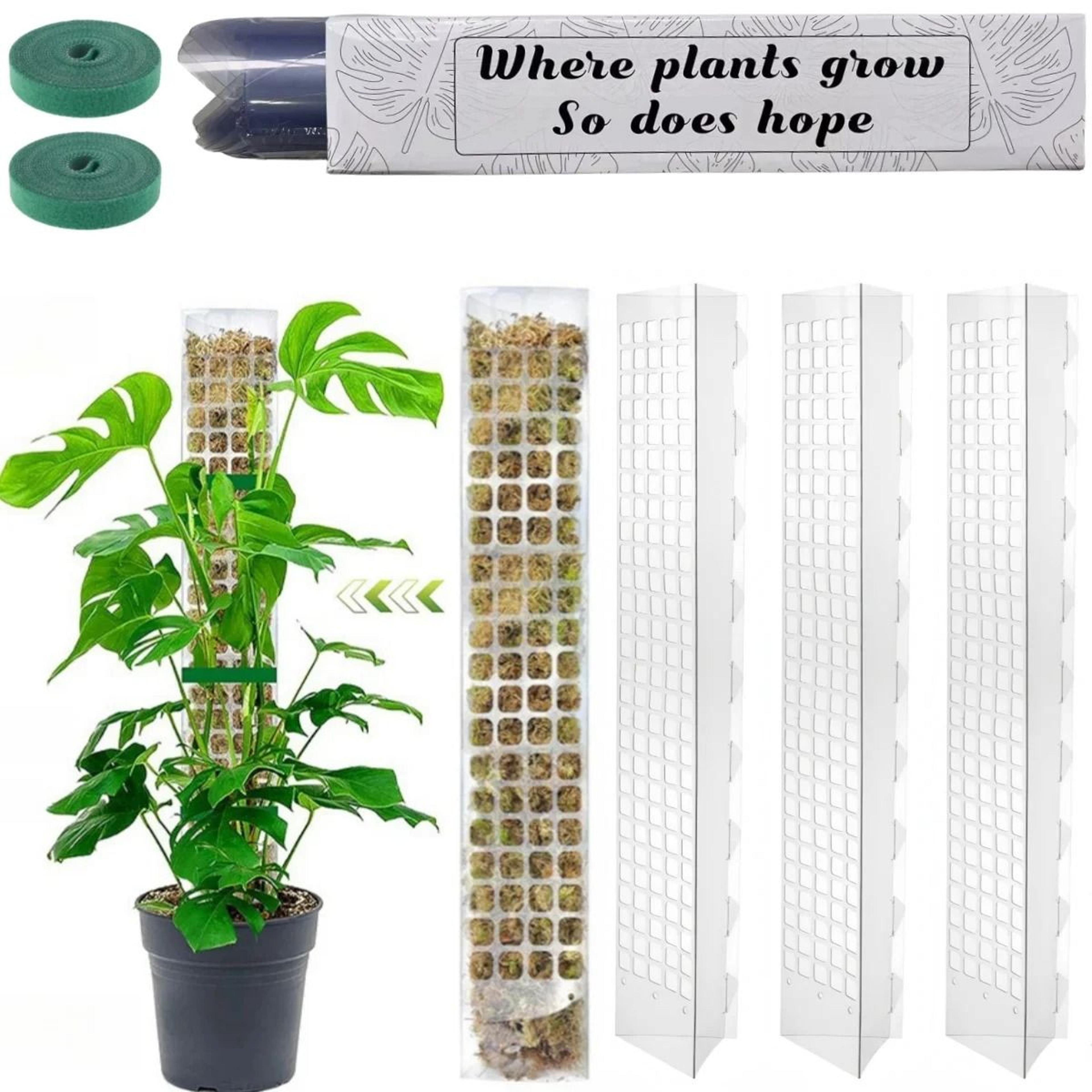 moss pole for plants indoor climbing plant support pole adjustable moss stick