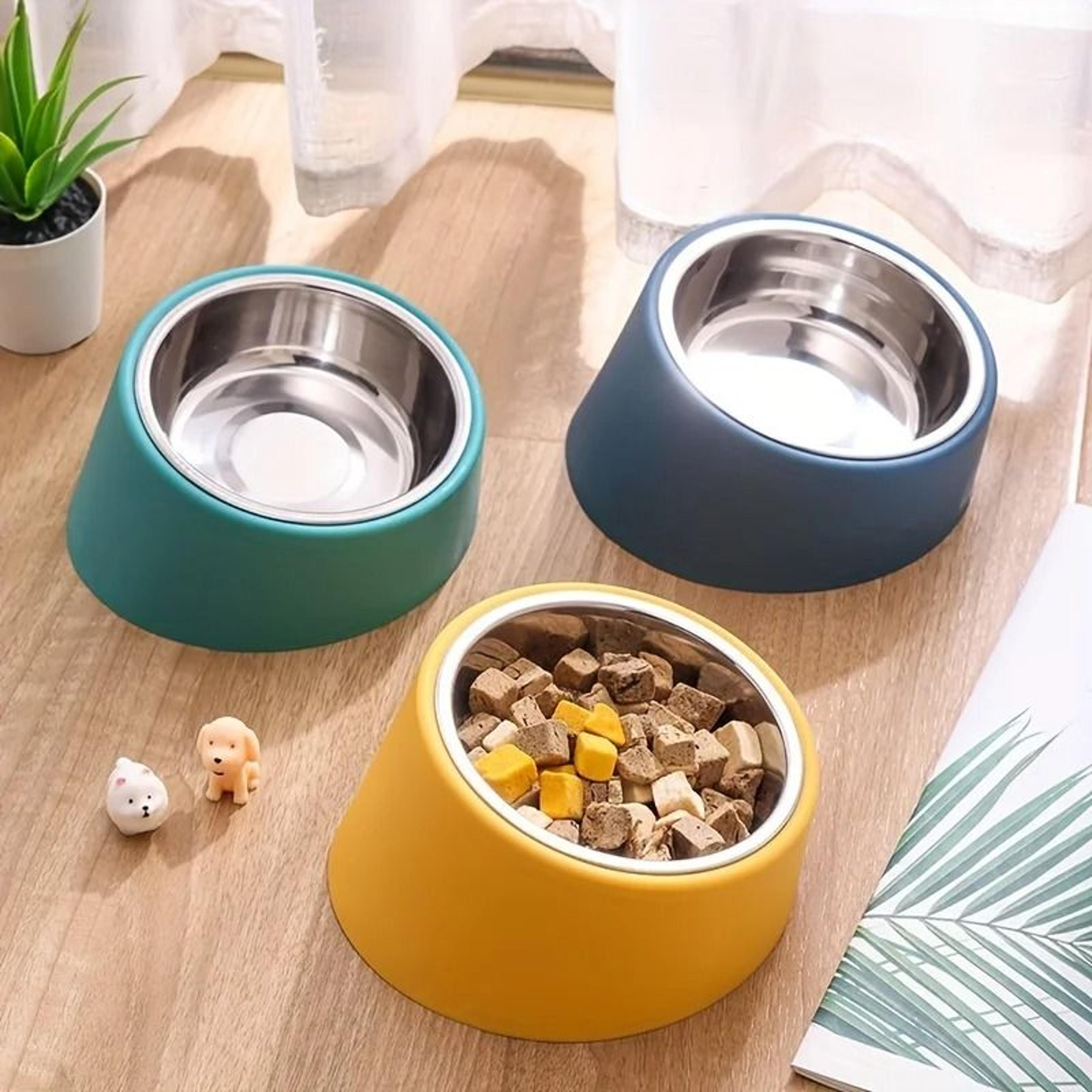 elevated stainless steel dog bowl with tilted design and anti spill raised feeder stand