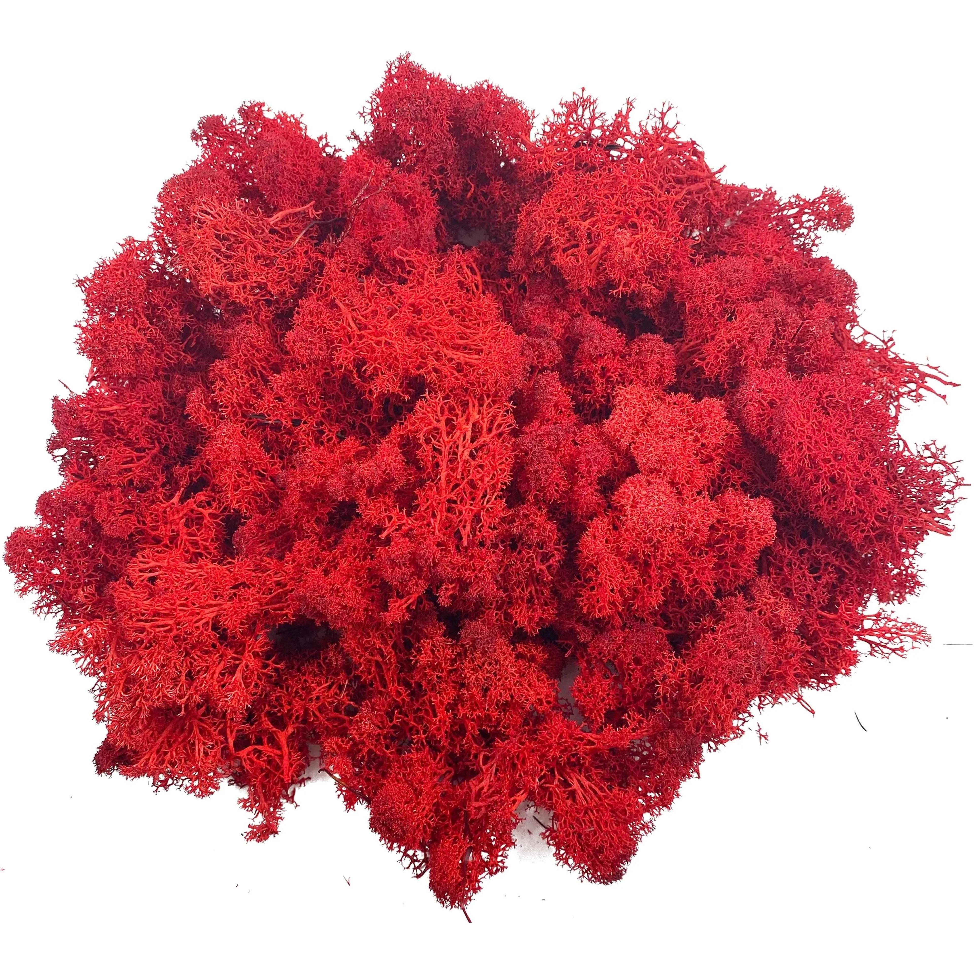 artificial reindeer moss decor green moss filler for crafts and wall design