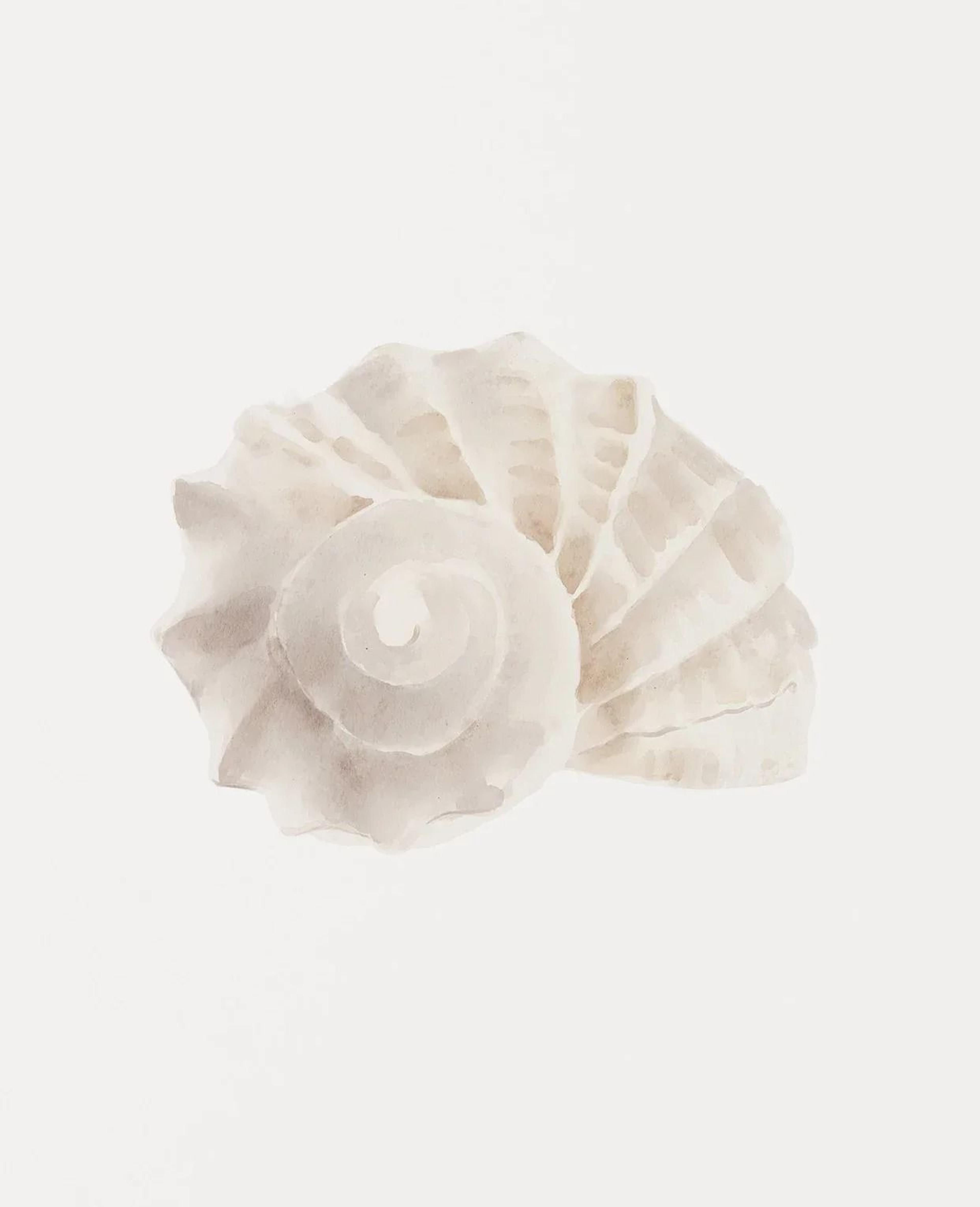 coastal wall art sea shell prints starfish canvas art beach themed decor set