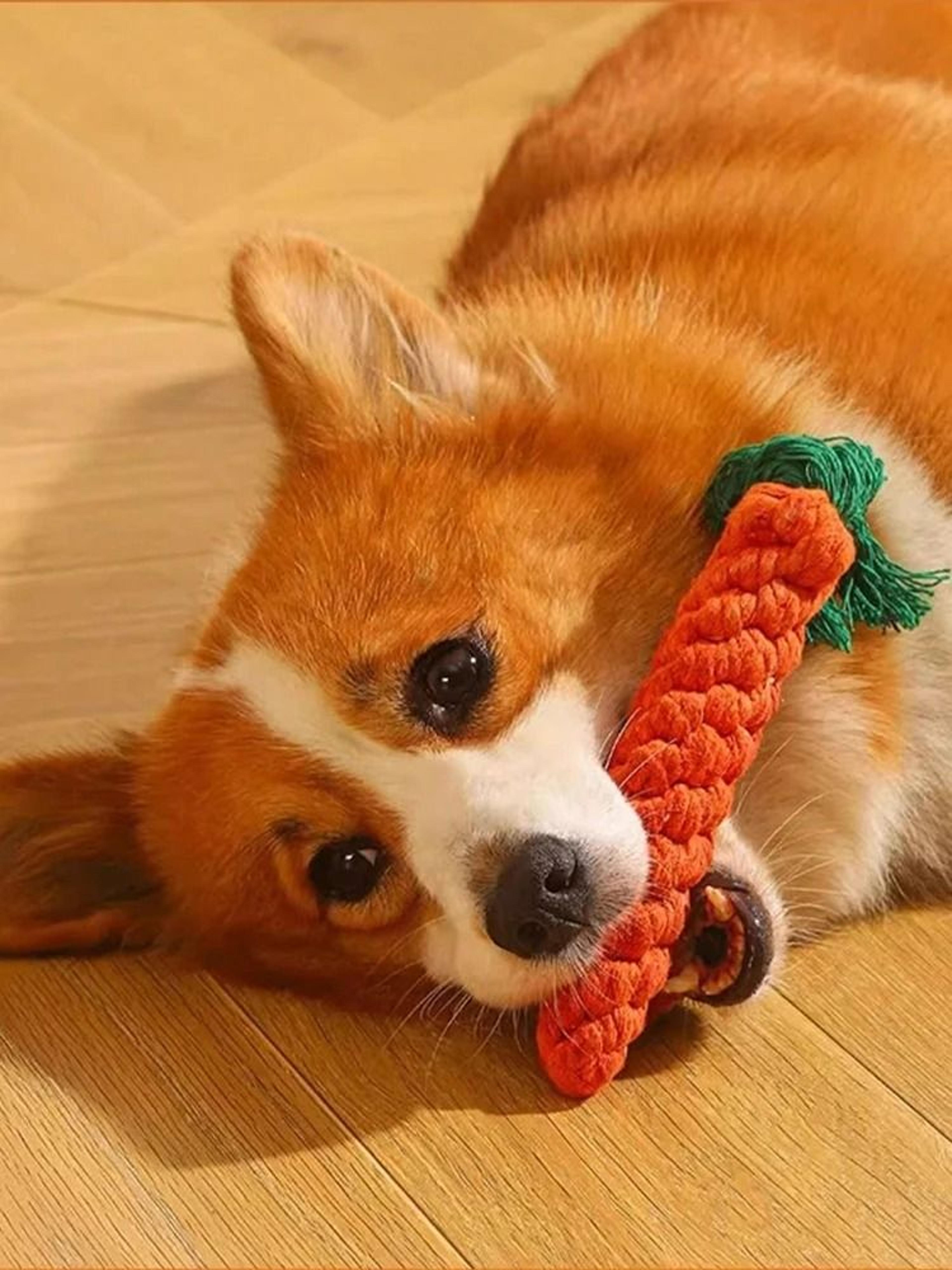 handwoven cotton rope dog chew toy durable knot toy for small and medium dogs