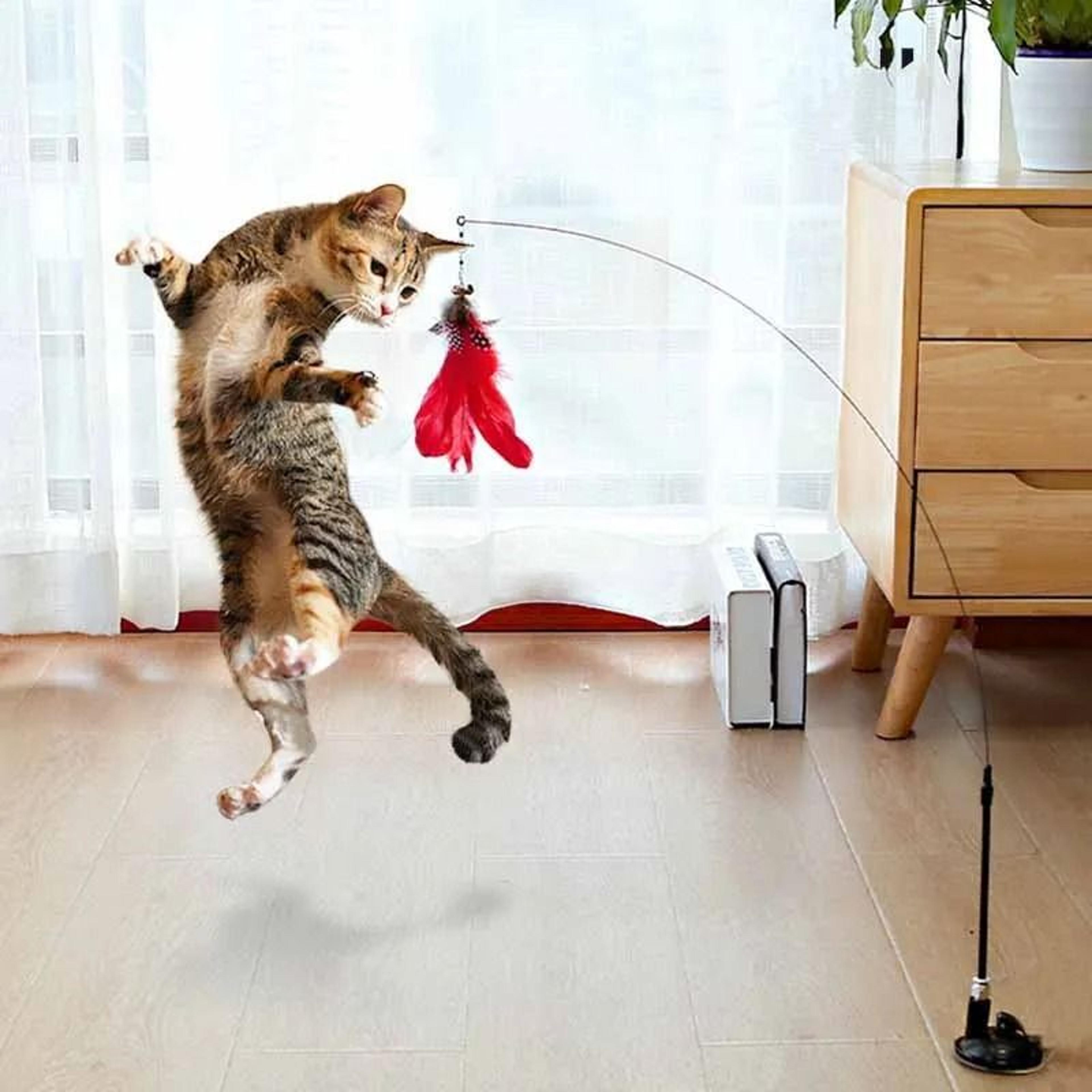 colorful feather bell suction cup interactive cat wand toy