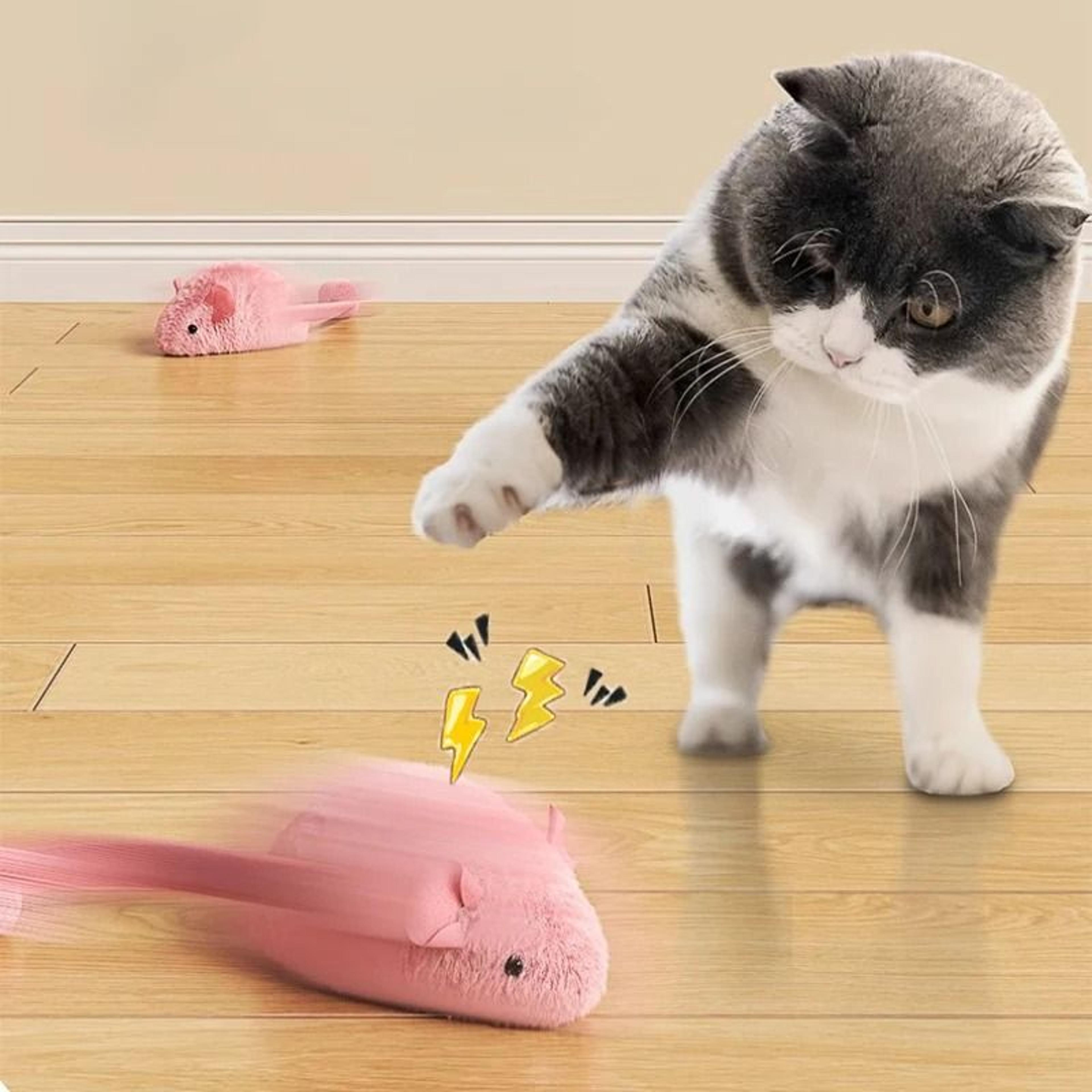 interactive plush mouse cat toy set for indoor cats and kittens