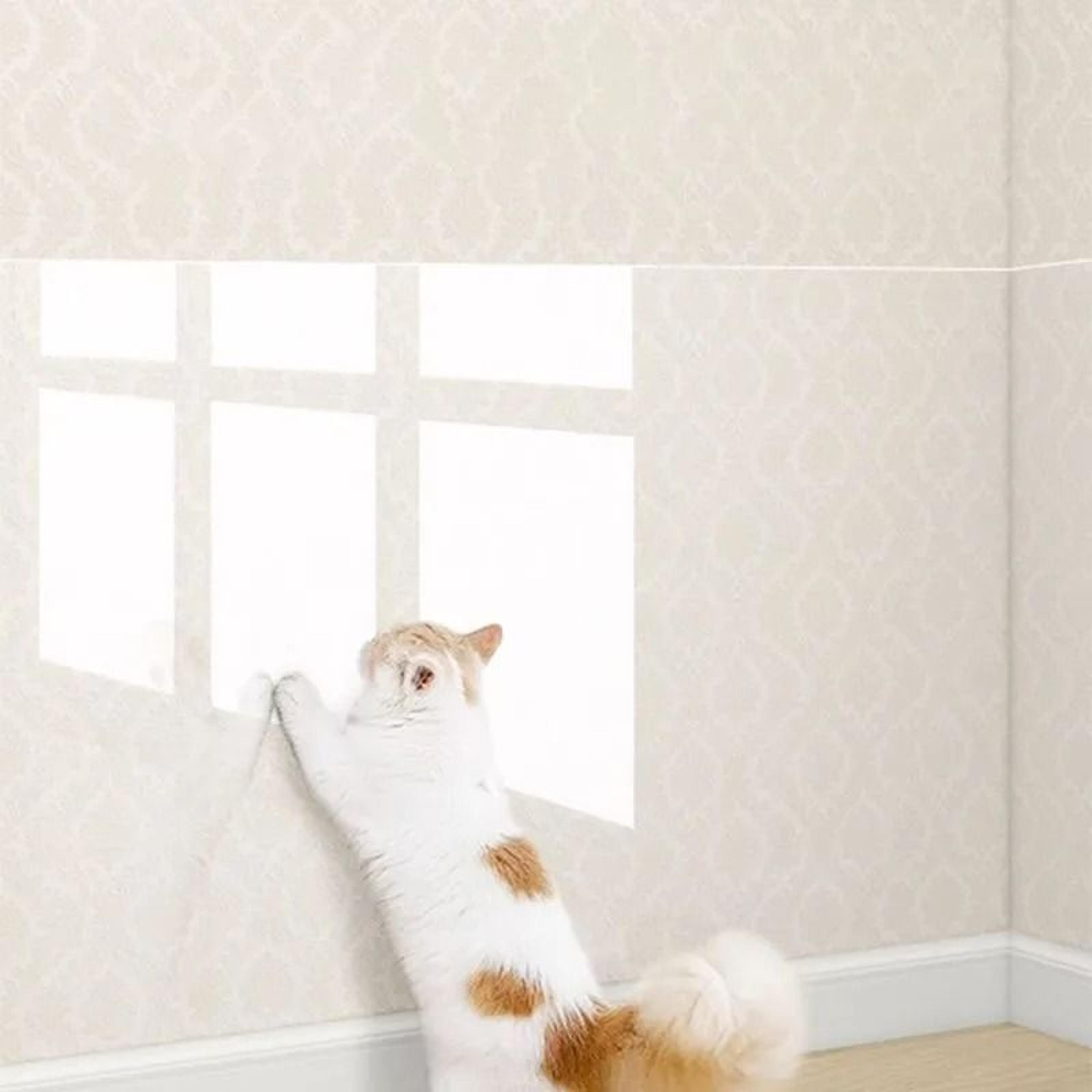 transparent self adhesive cat furniture protector pads for sofa couch and wall