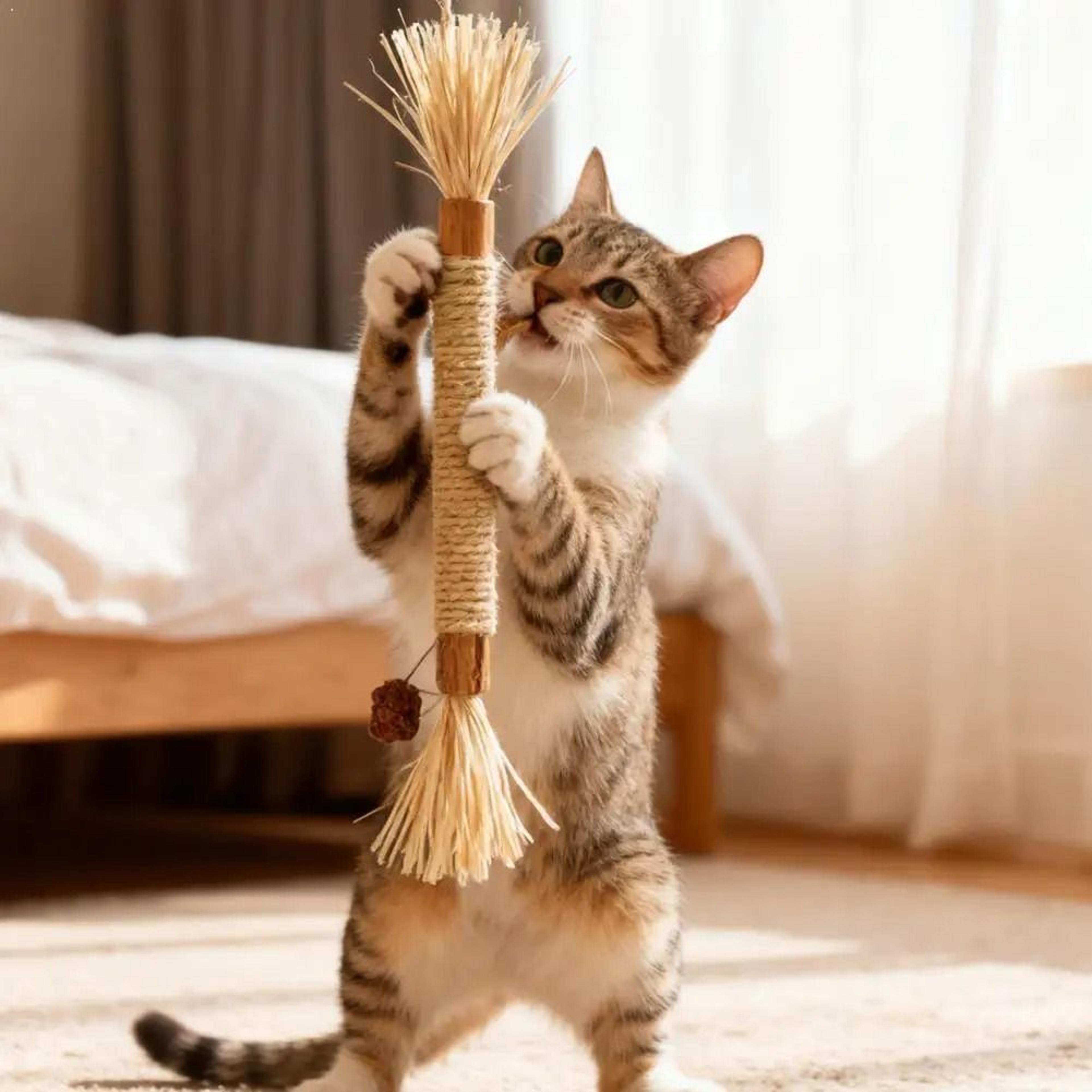 cat teeth cleaning chew stick toy with cat mint and rope