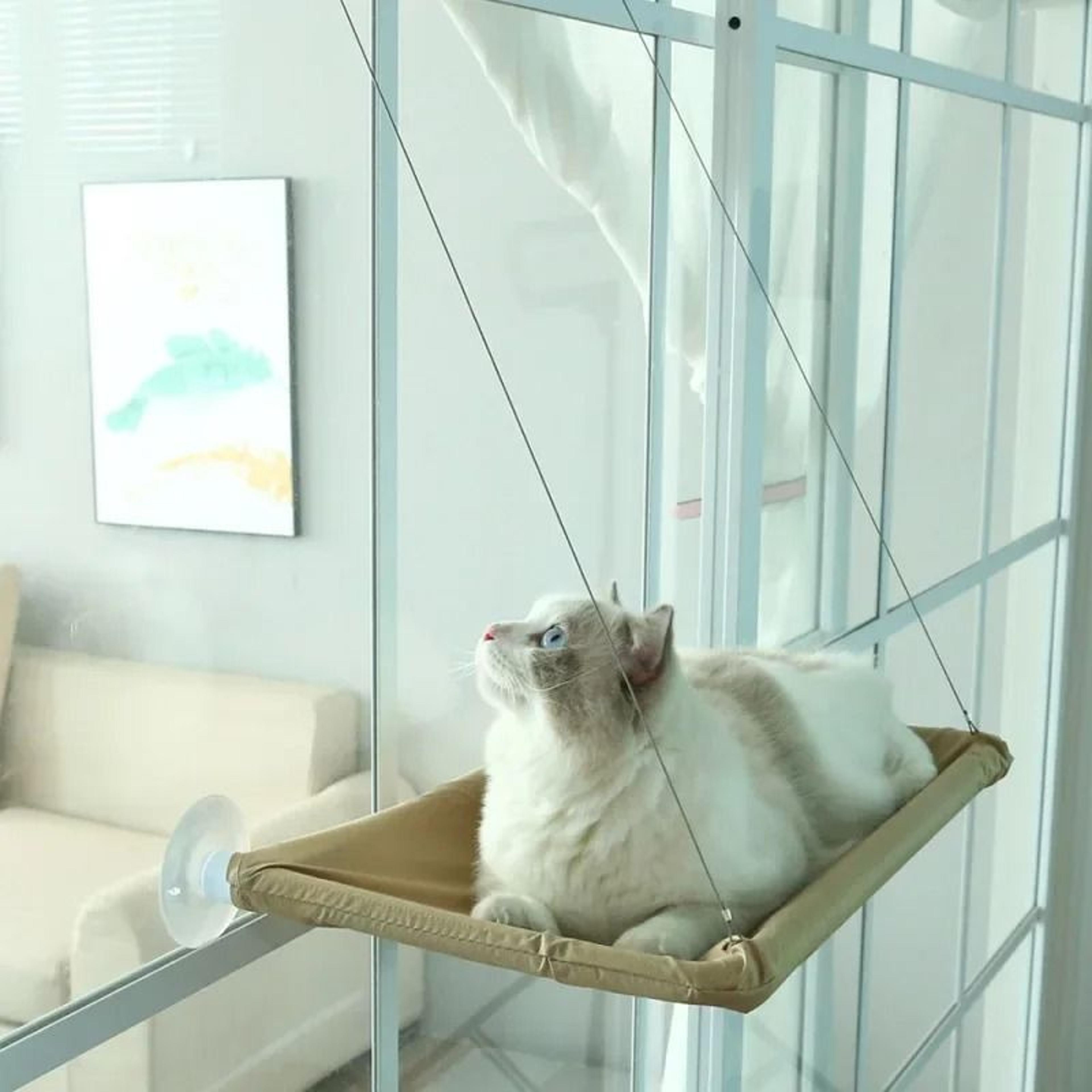 hanging cat hammock window seat bed with climbing frame for sunny indoor lounging