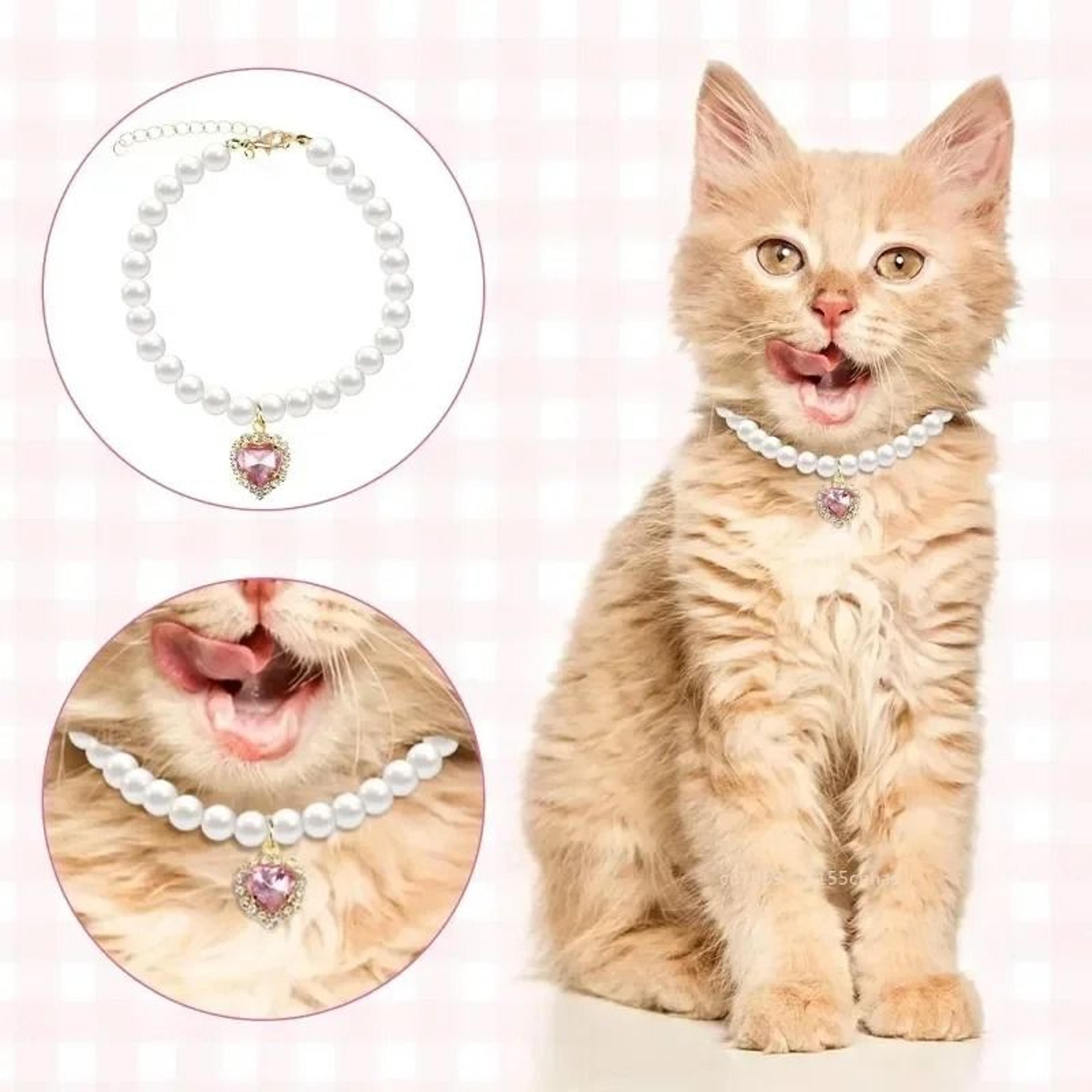 pearl pet collar necklace for dogs cats and puppies