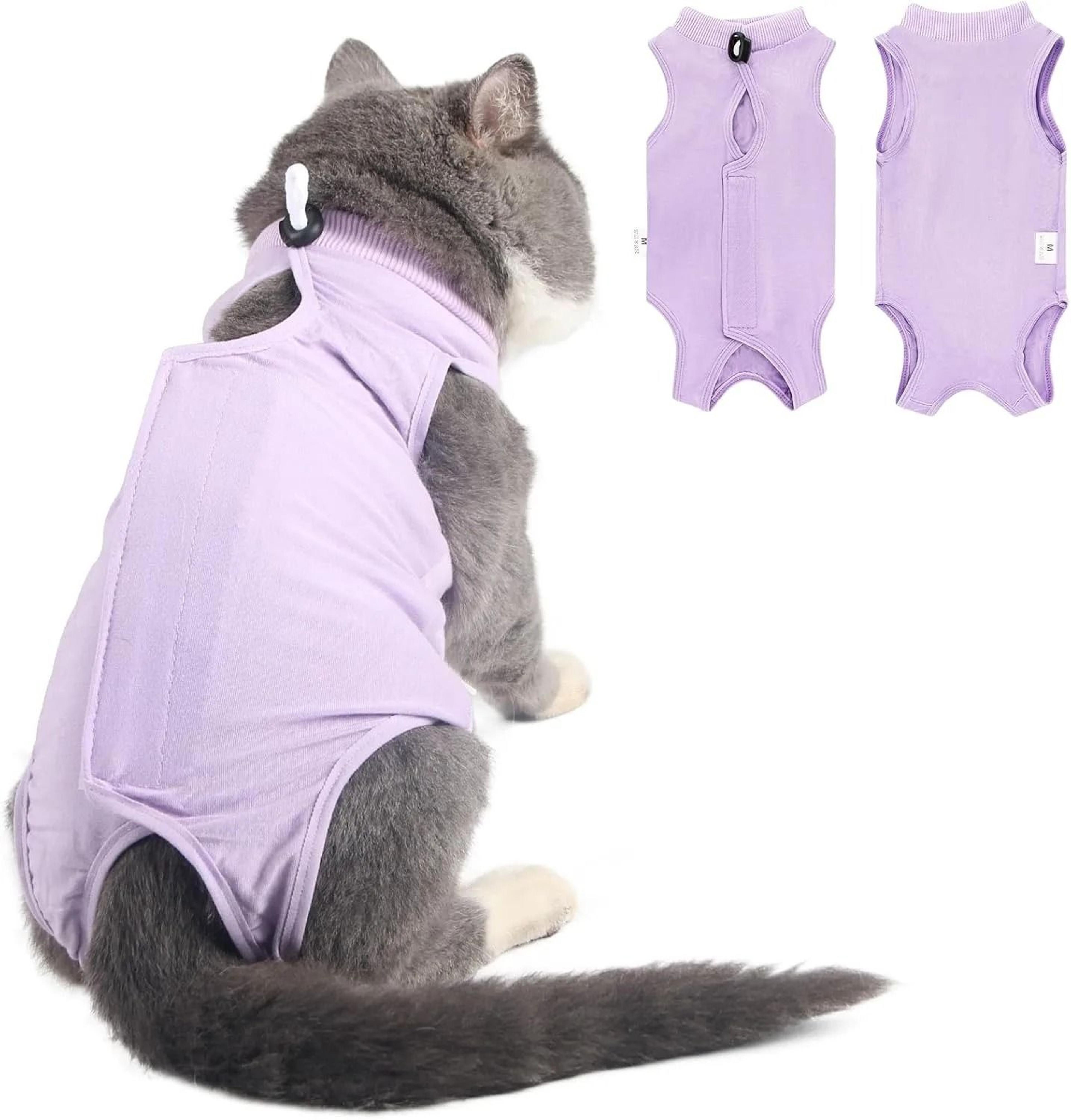 cat surgery recovery suit for spay neuter care and anti licking protection