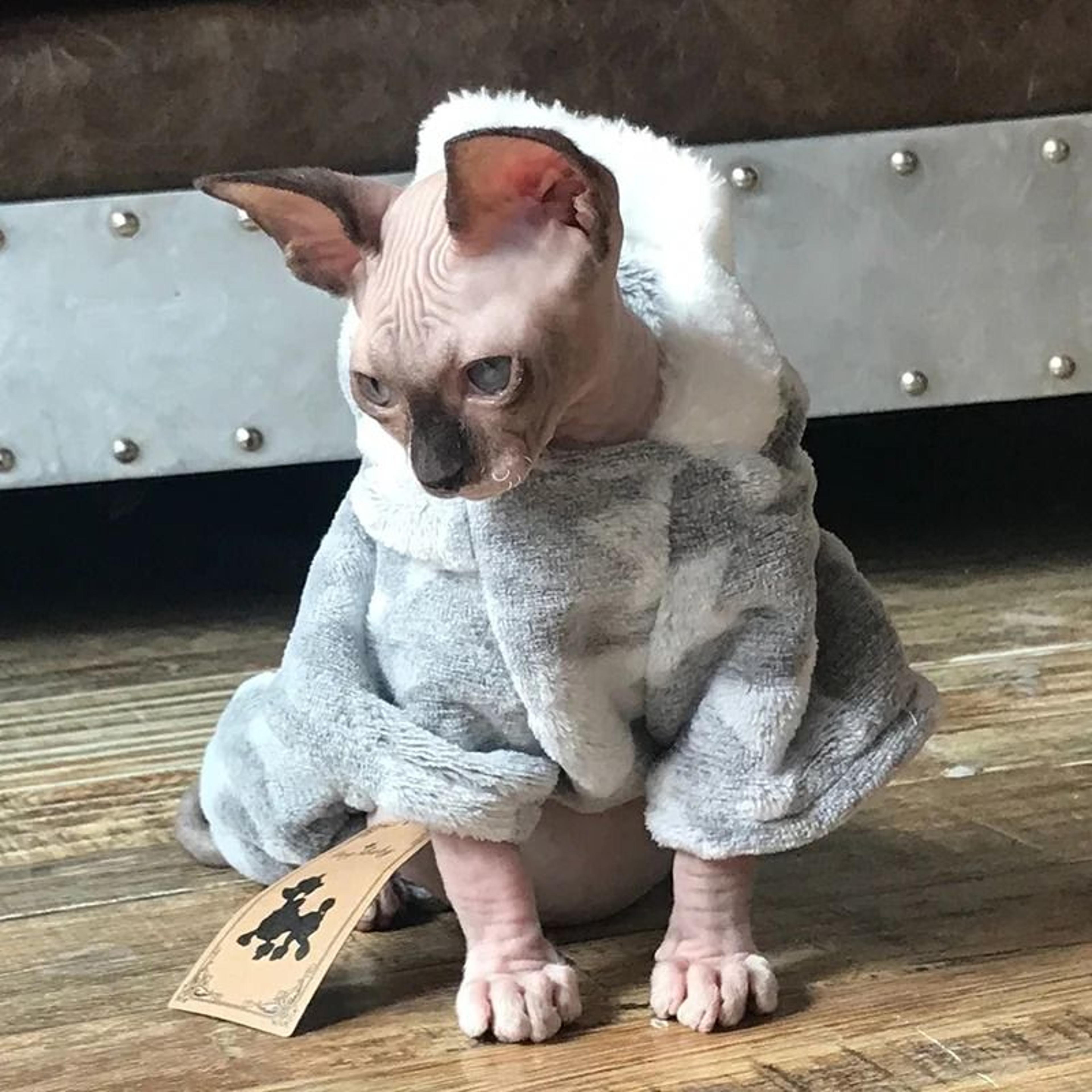 warm soft fleece cat pullover sweater for small dogs and kittens