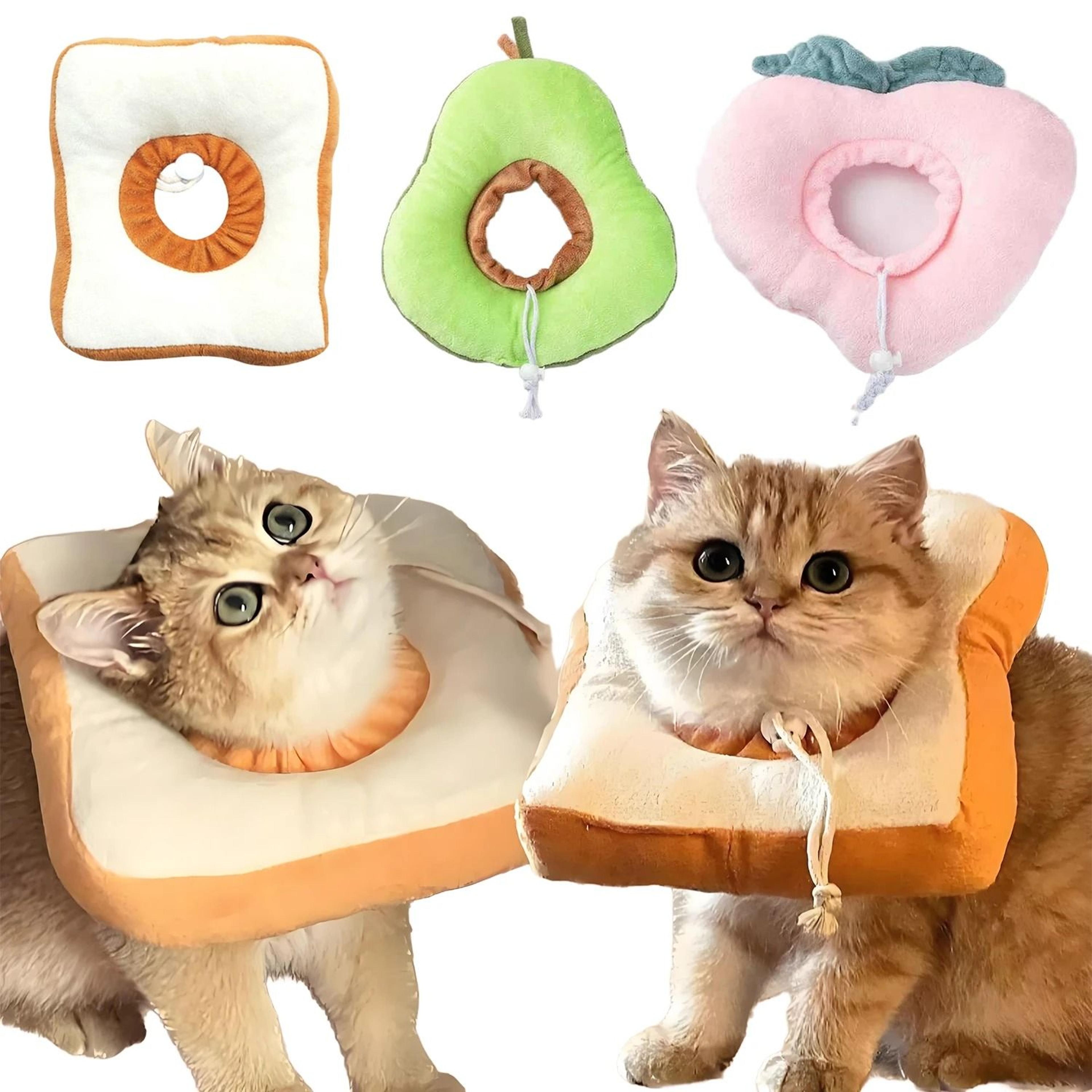 soft avocado pet recovery collar for cats and puppies