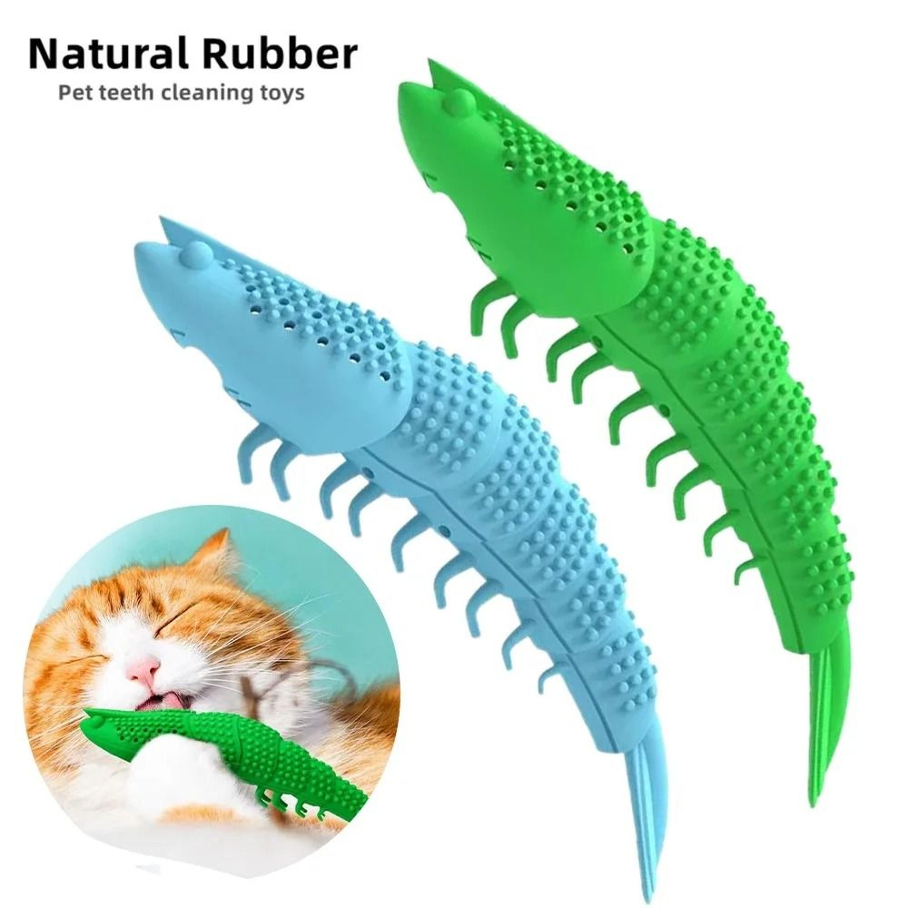 catnip toothbrush chew toy for kitten dental cleaning and interactive play