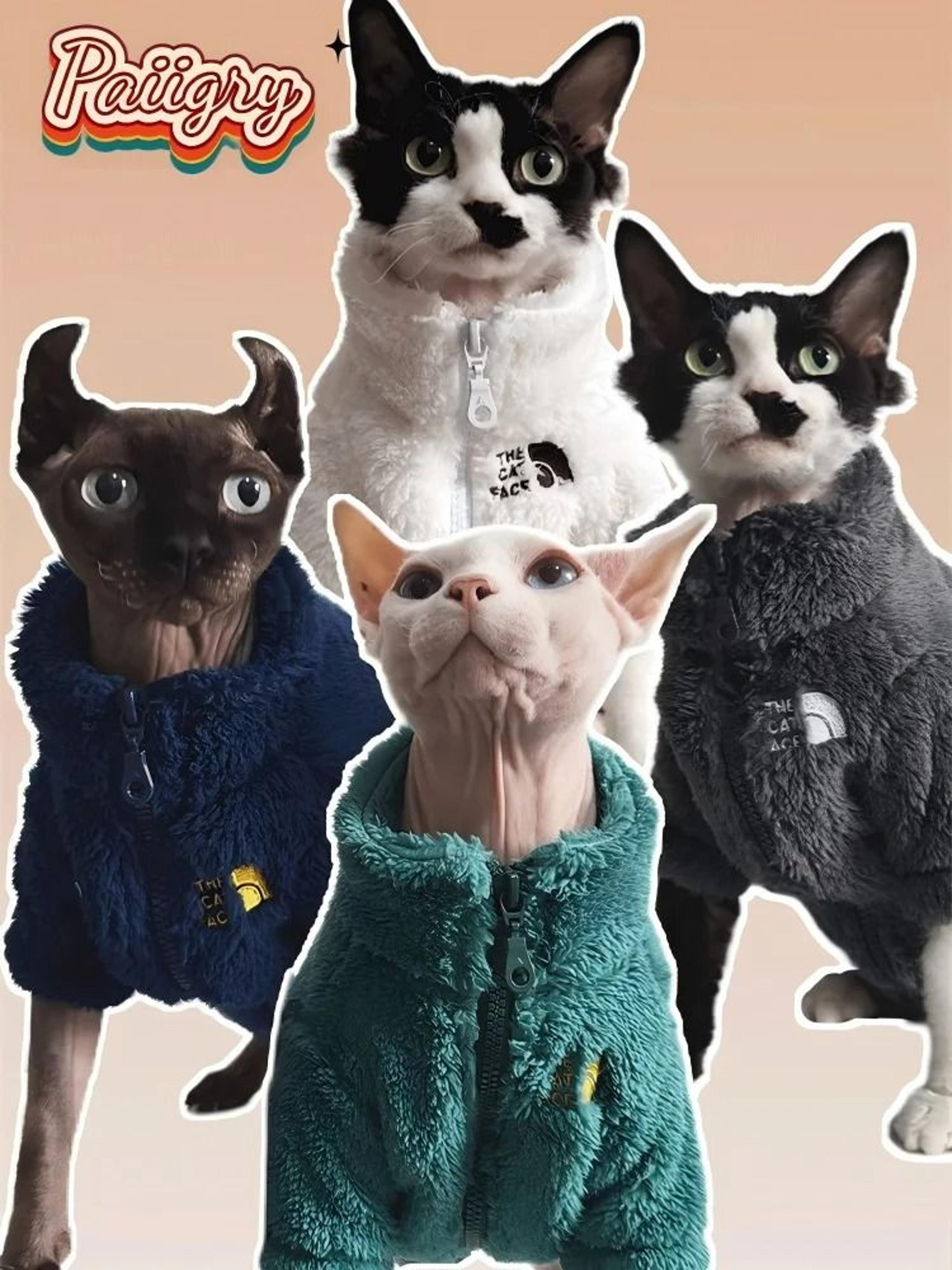 warm sphynx cat clothes winter lambswool coat for hairless cats and small dogs