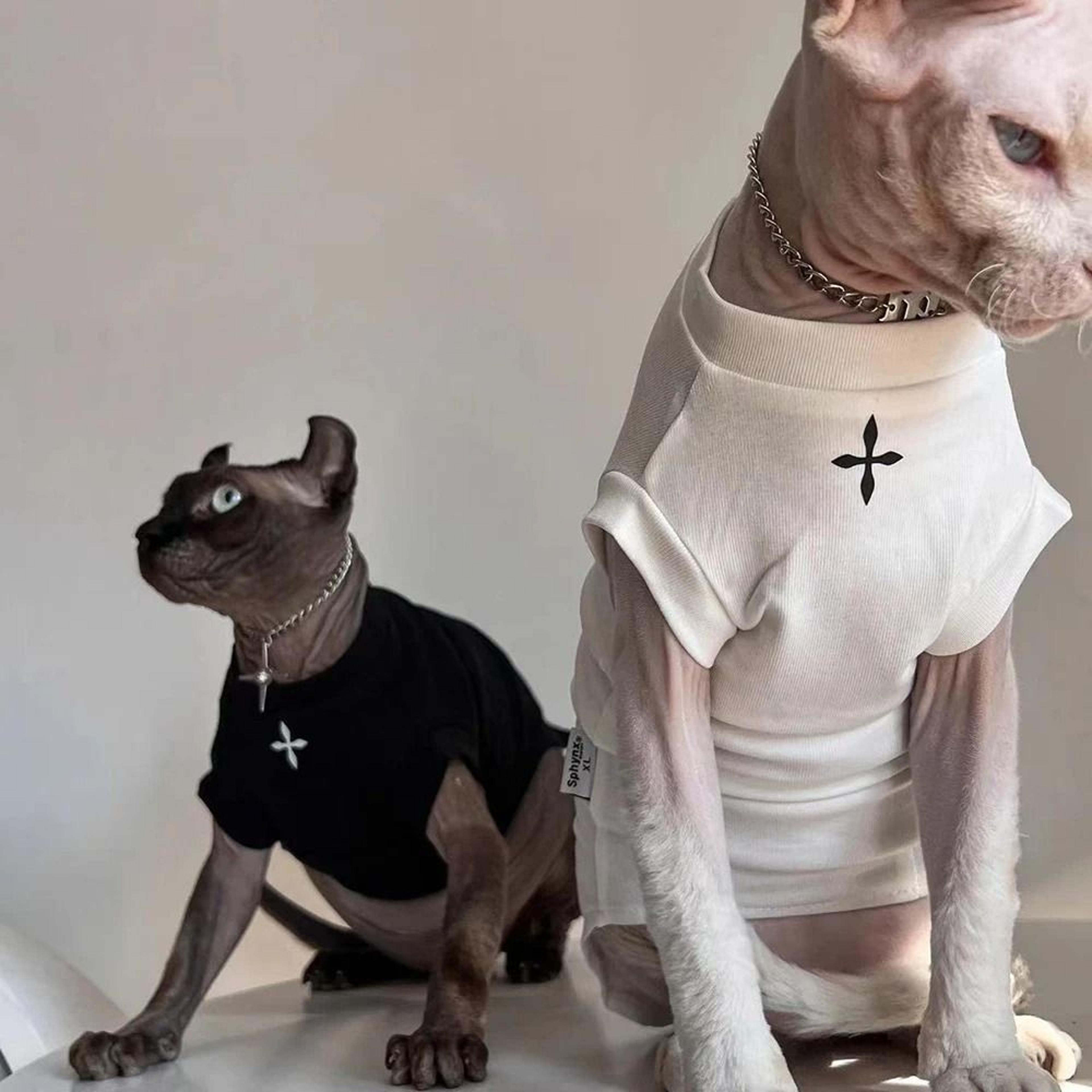 sphynx cat clothes black cotton pullover shirt for hairless cats and kittens