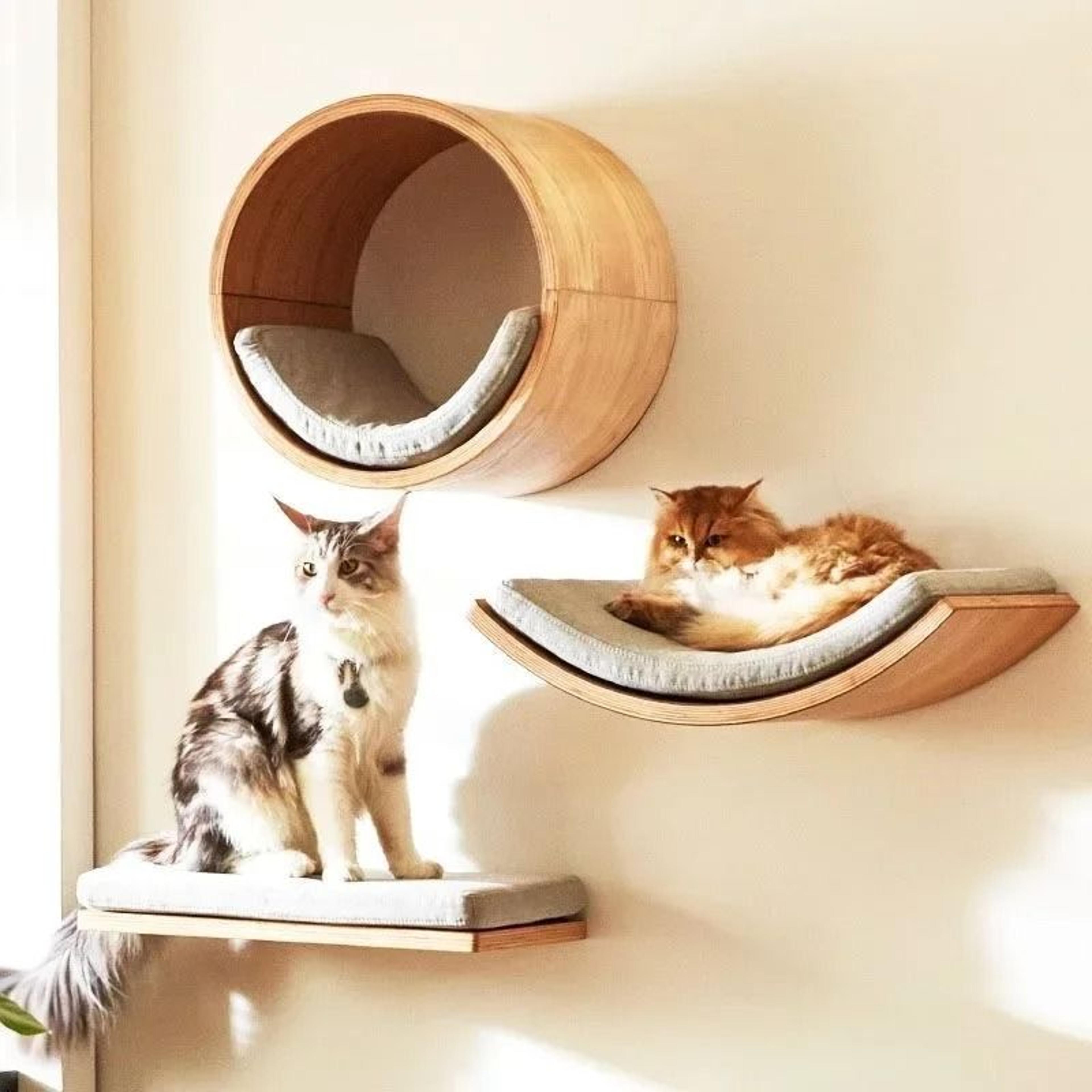 wall mounted cat climbing shelves with sisal scratching post and hammock