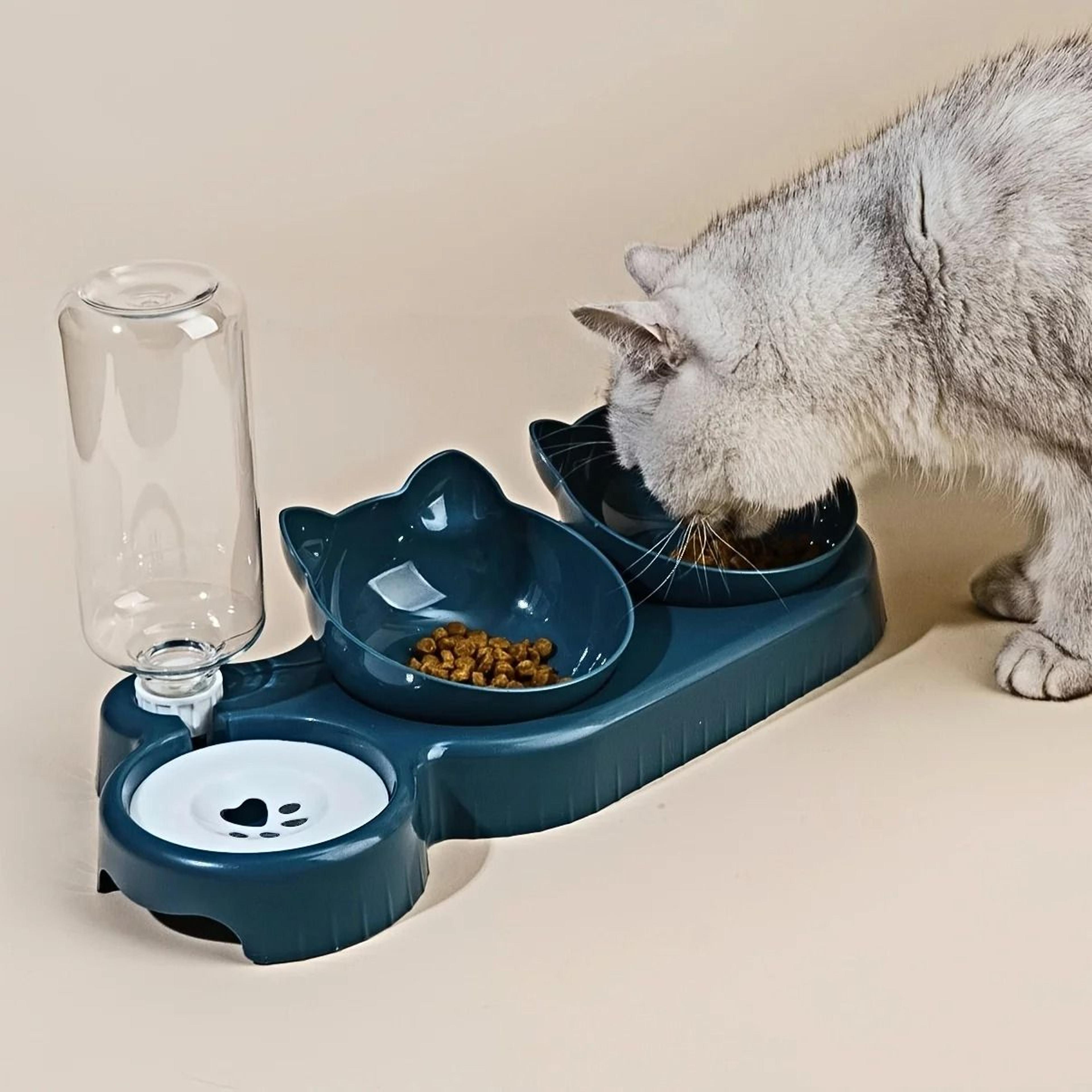 three in one tilted cat bowl set with gravity water feeder for cats dogs