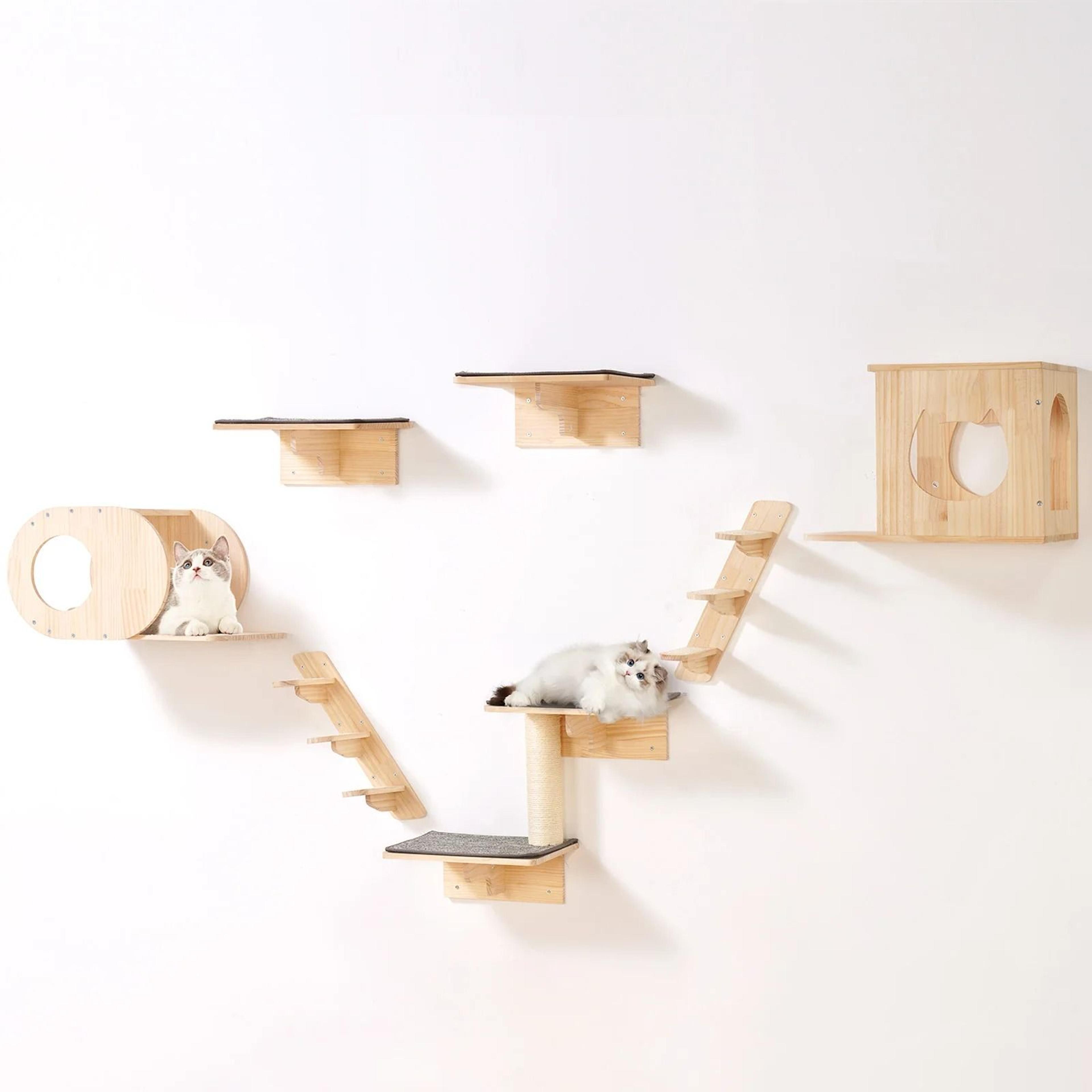 wall mounted cat shelves with perches jumping boards hammocks and cat tree furniture