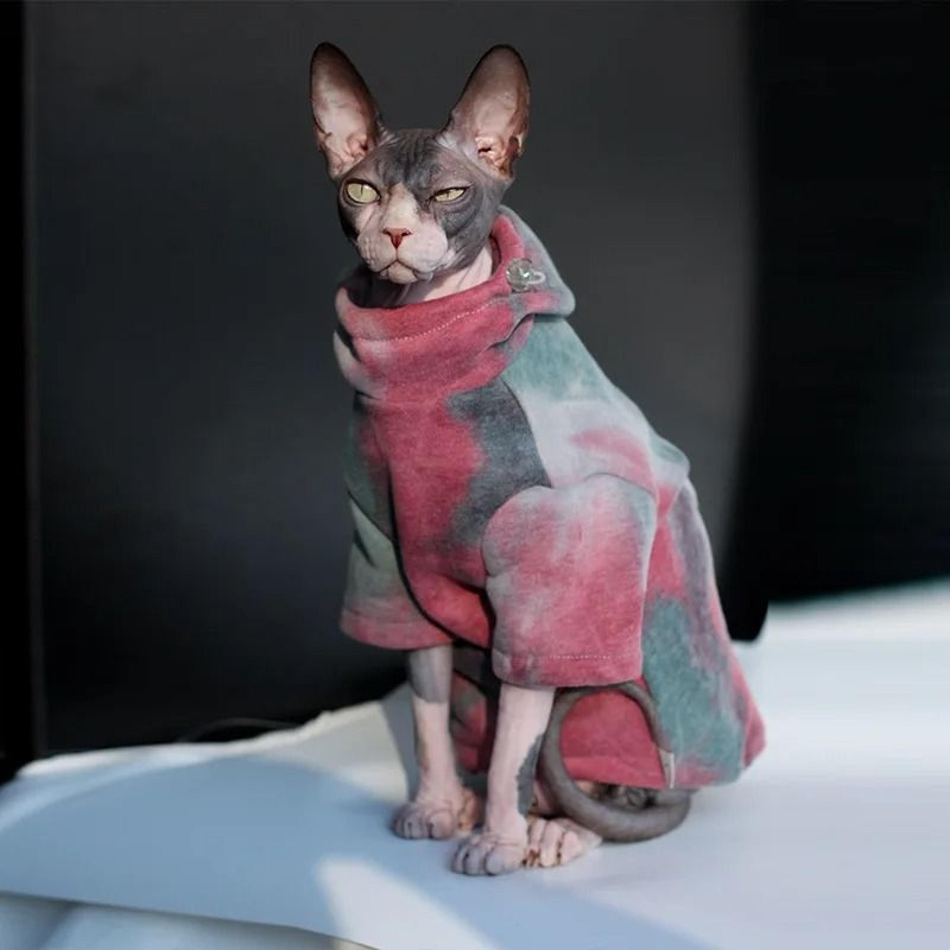 duomasumi sphynx cat fleece hoodie warm winter jacket for hairless cats small dogs