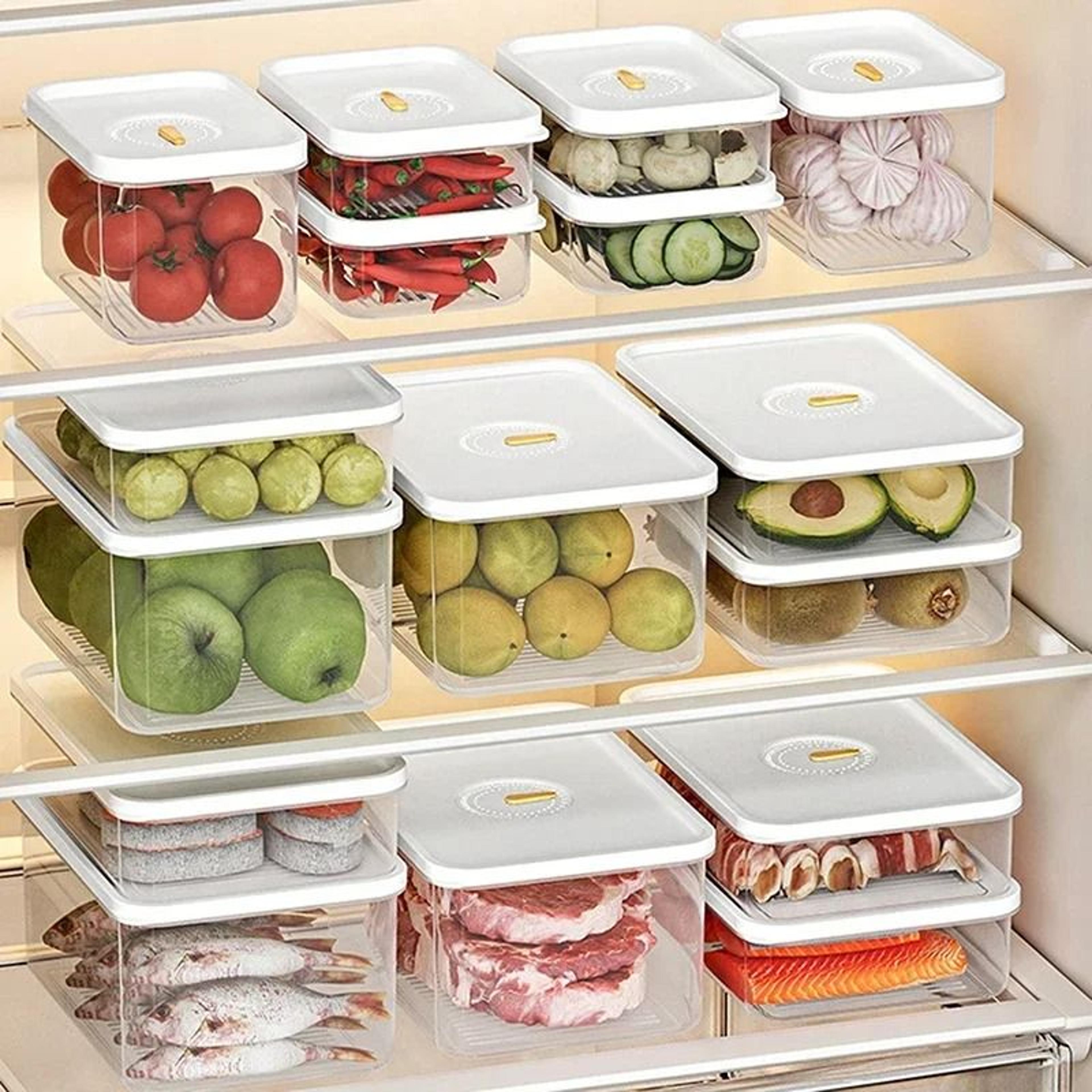 transparent lunch meat container for refrigerator cheese and cold cut storage